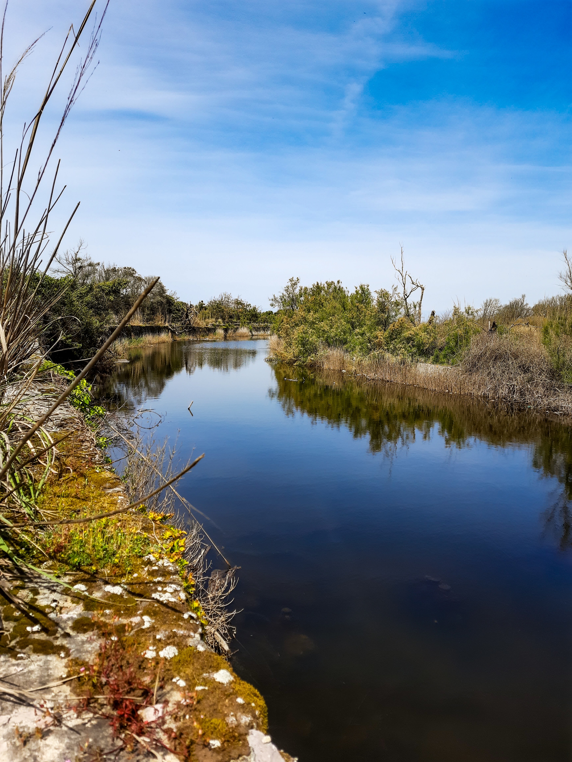 Bike trekking nel Parco Naturale di San Rossore