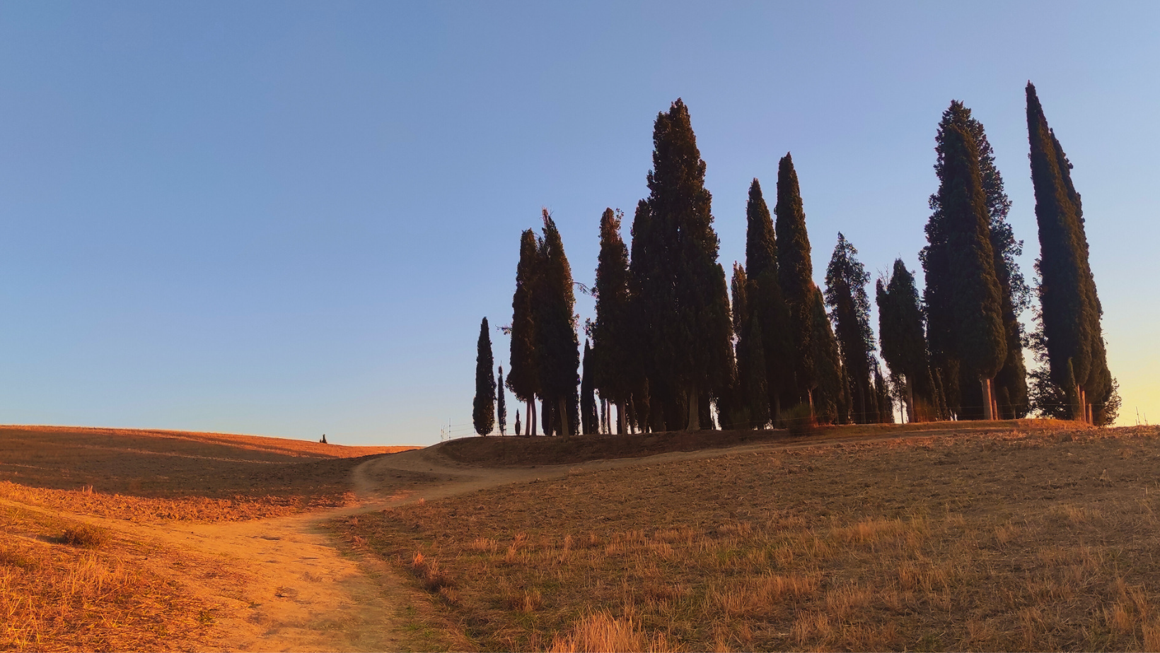 Hiking in Pienza on the footsteps of 