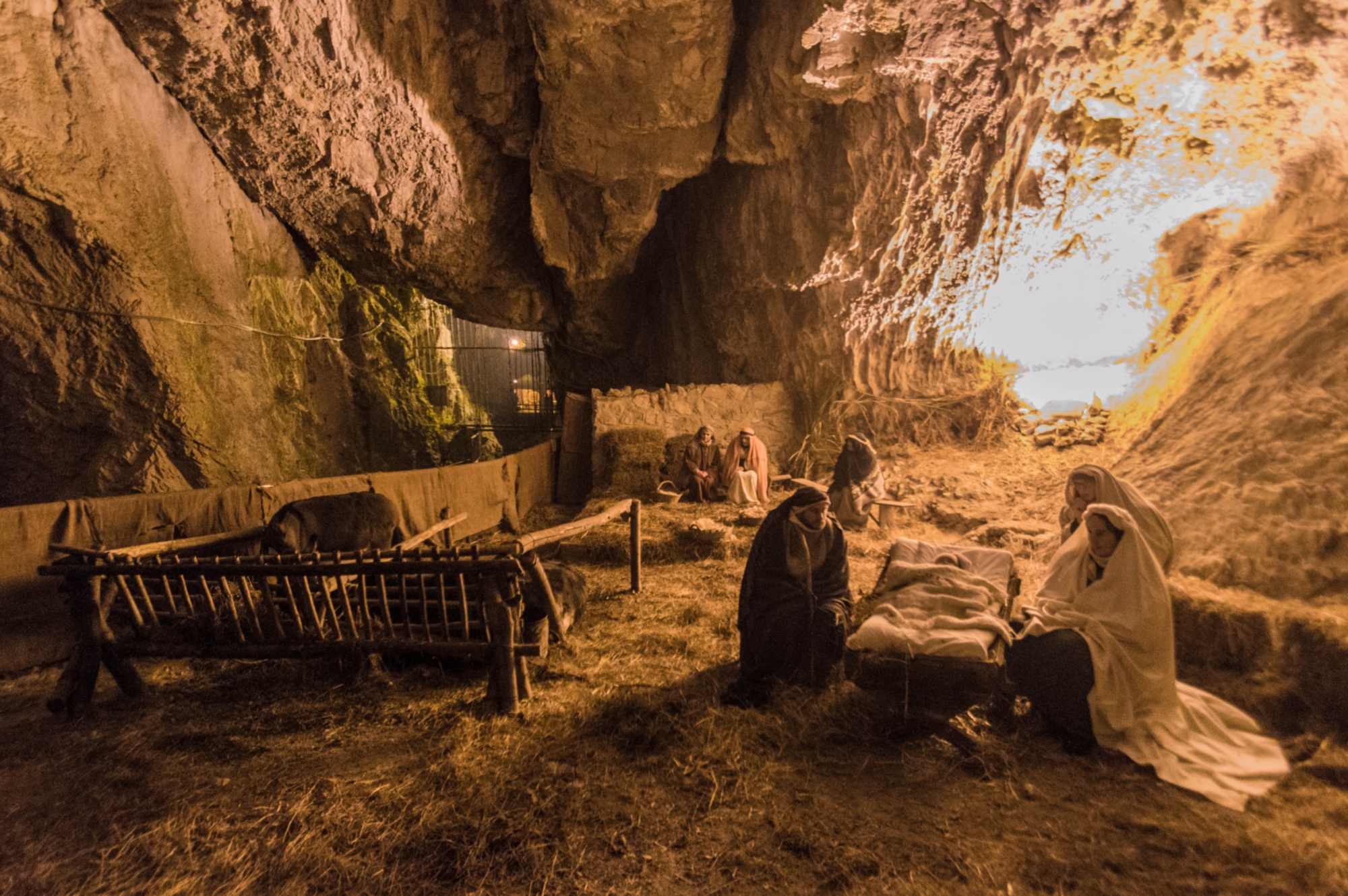 Casa Vinicia gives you free entry to the Living Crib in Equi Terme