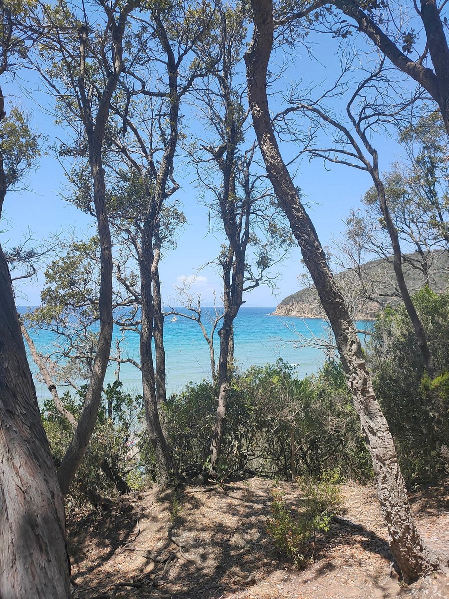 Tour di 14 km alla scoperta di Cala Violina e le Bandite di Scarlino