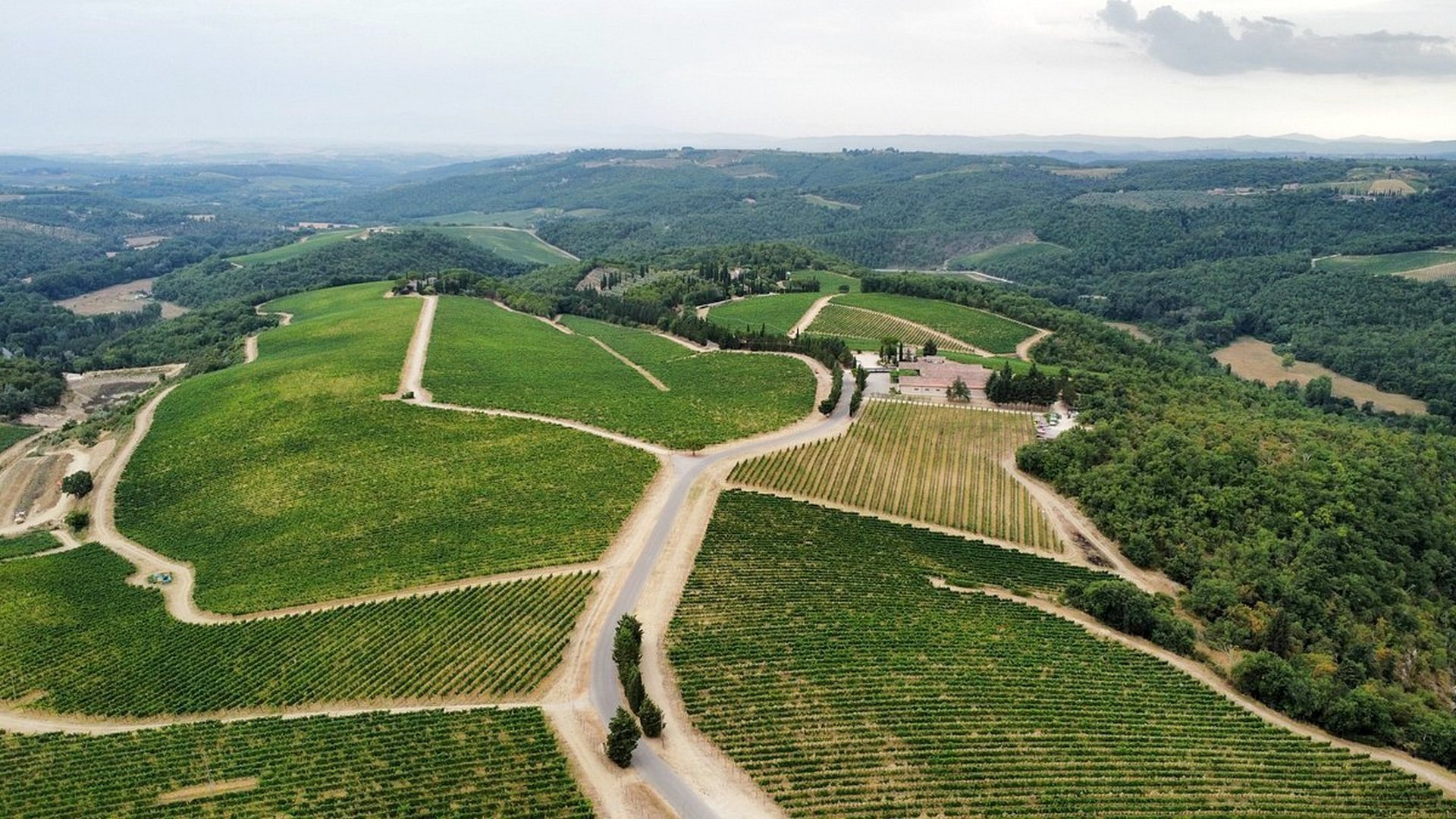 Trekking da San Sano al Castello di Ama, nel Chianti senese