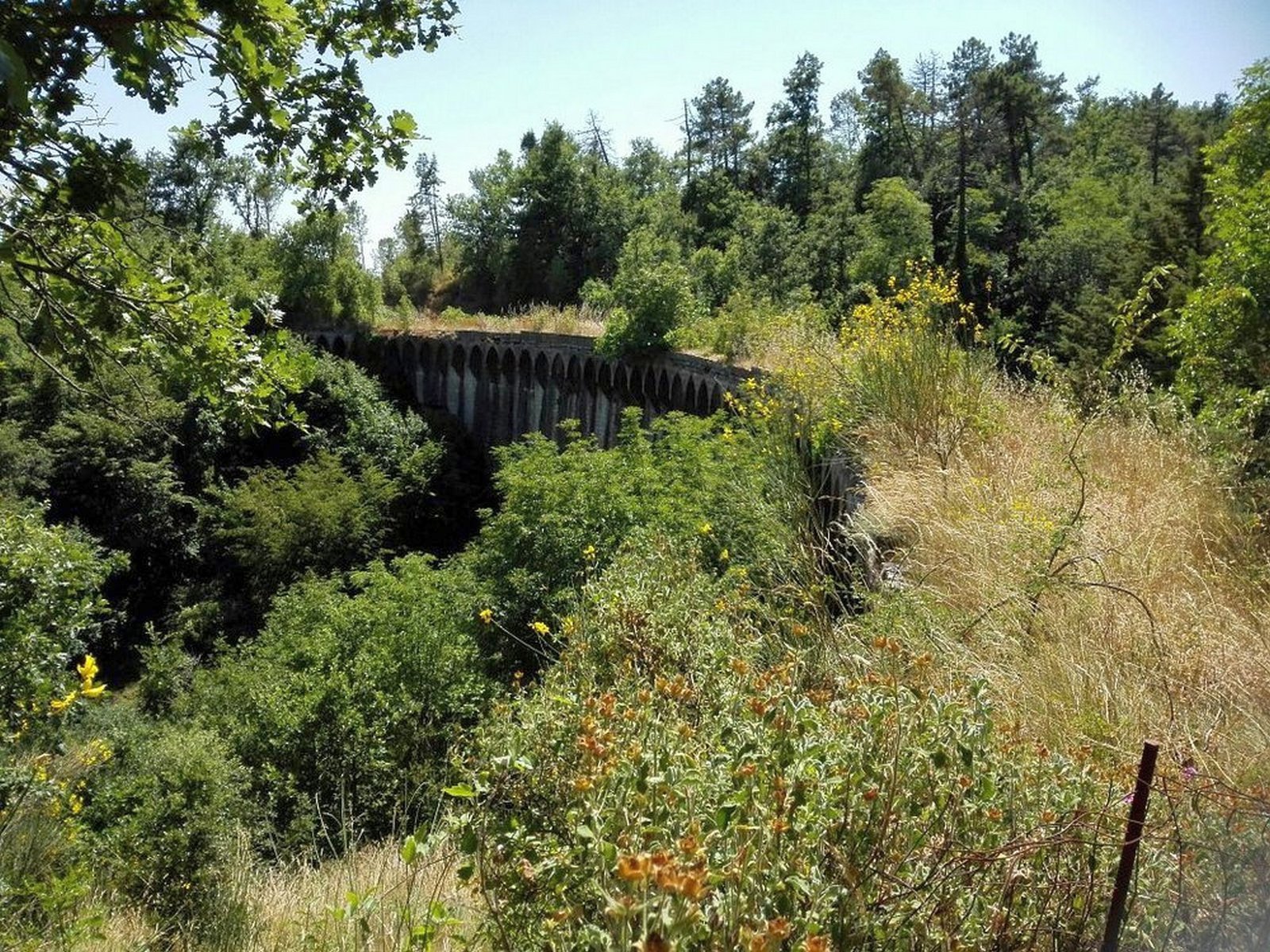 Tour di 13 km nel cuore dell'Alta Val di Cecina 