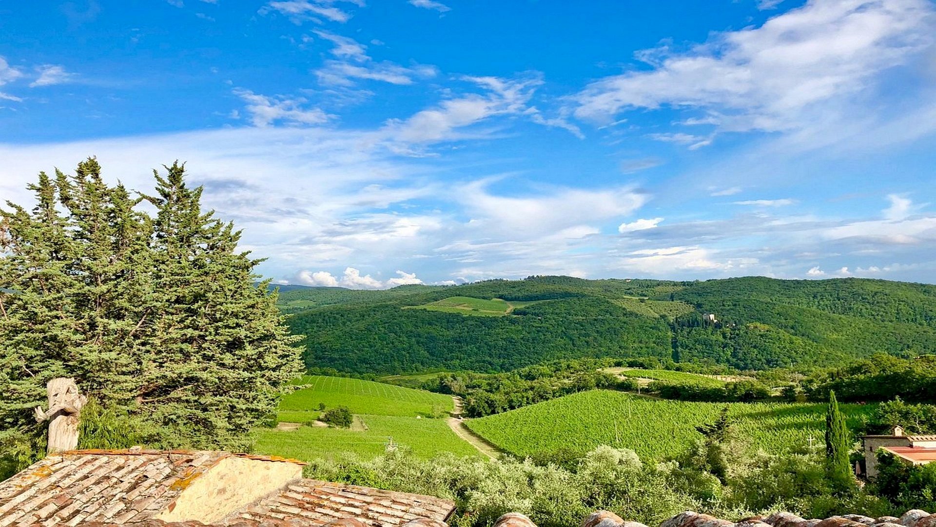 Trekking da San Sano al Castello di Ama, nel Chianti senese