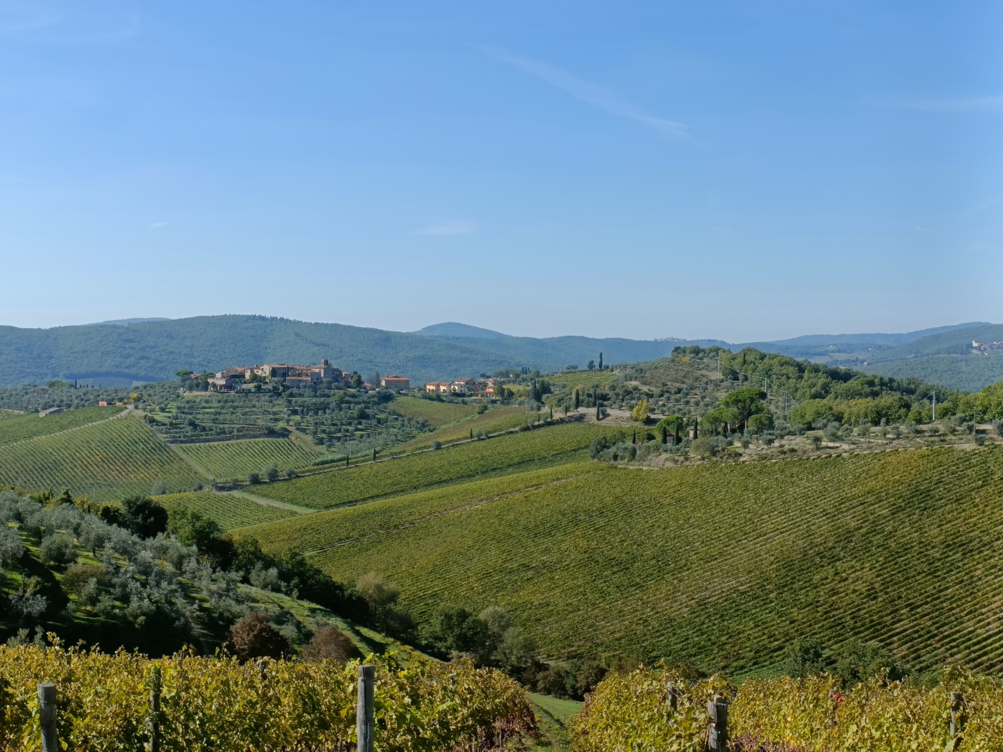 3-day bike tour from Florence to Siena