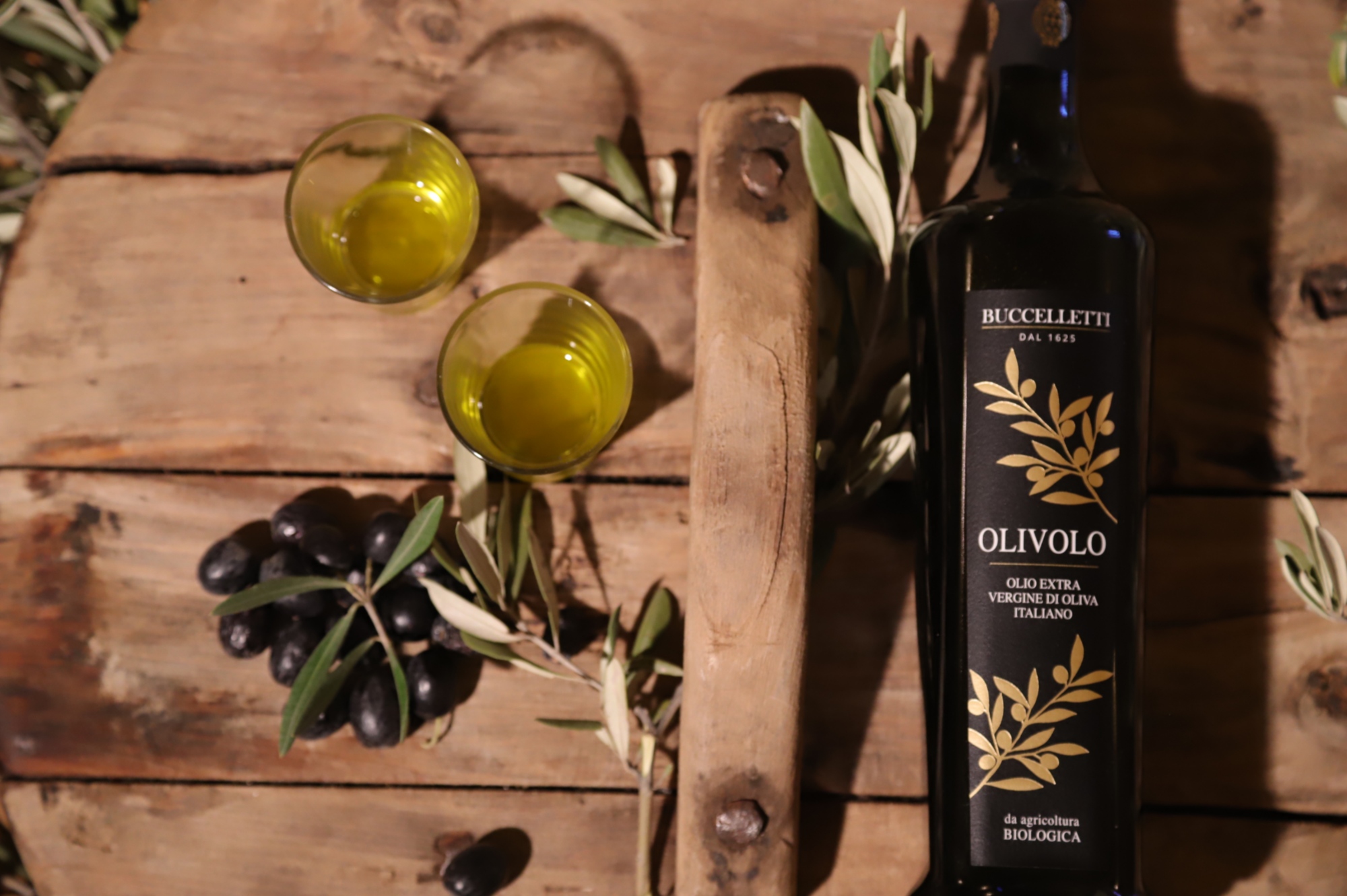 Extra virgin olive oil tasting in Castiglion Fiorentino