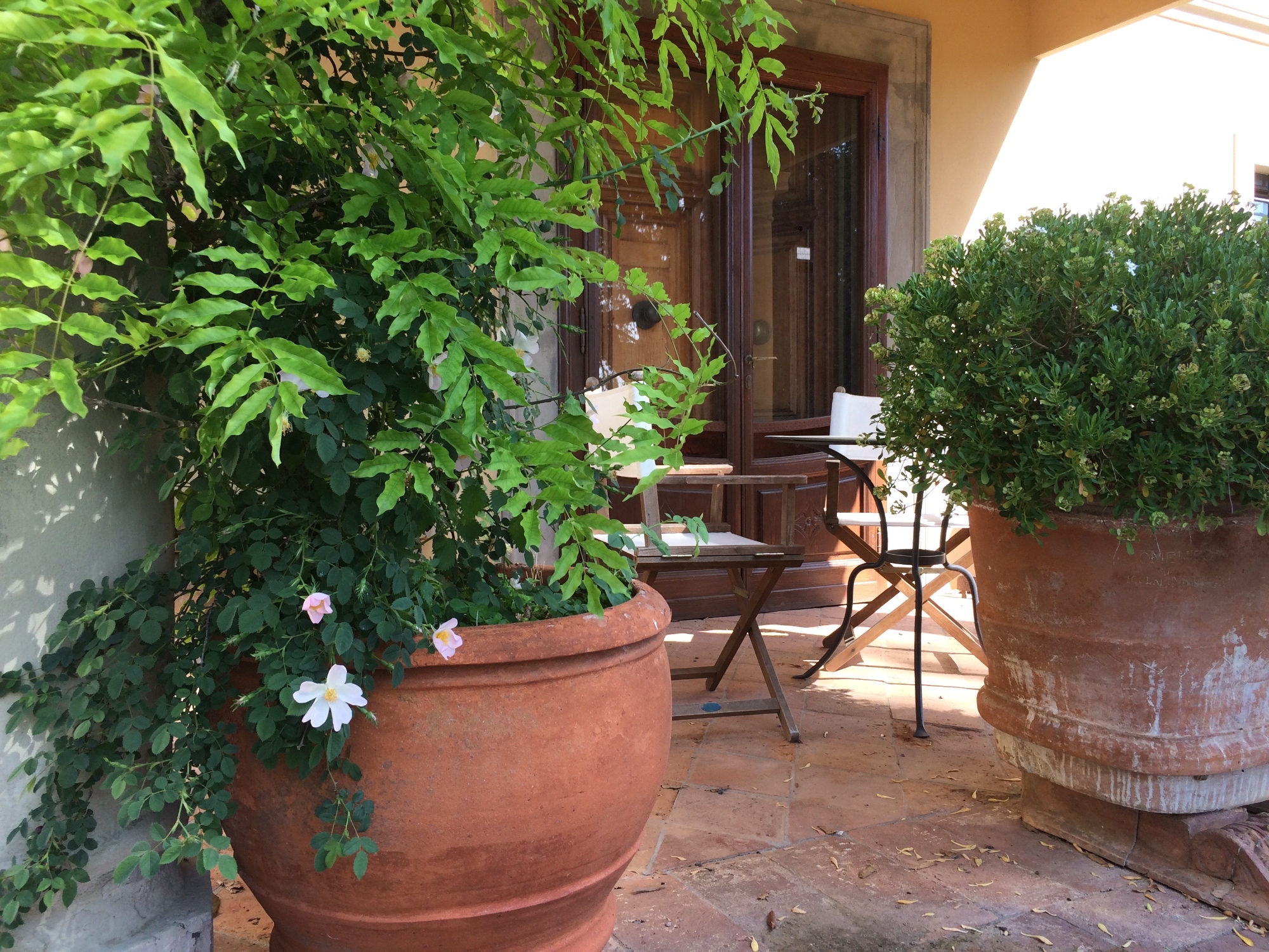 Soggiorno in appartamento di agriturismo sulle colline fra Pisa e Firenze