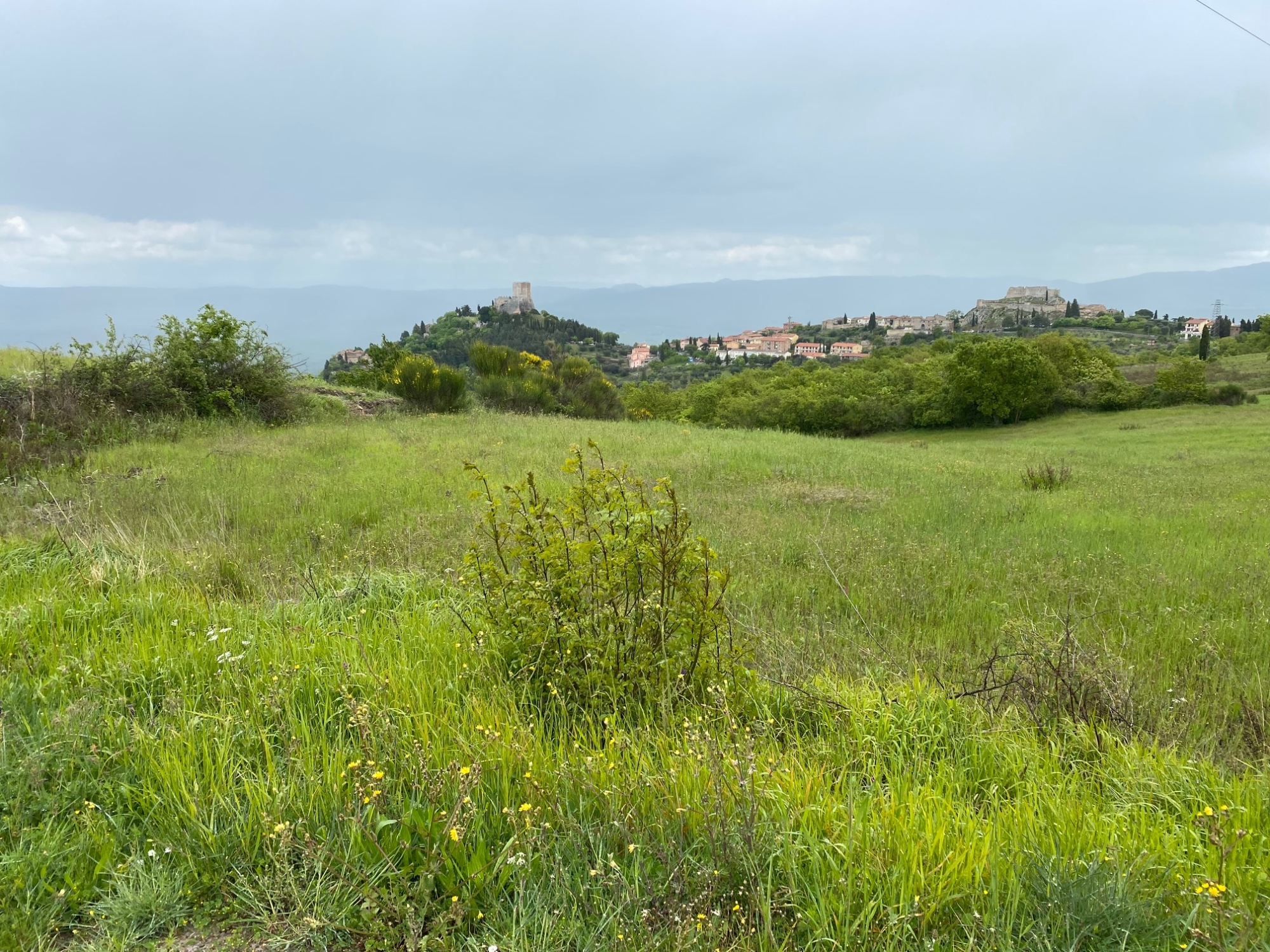 Treno a vapore da Siena verso Castiglione d'Orcia