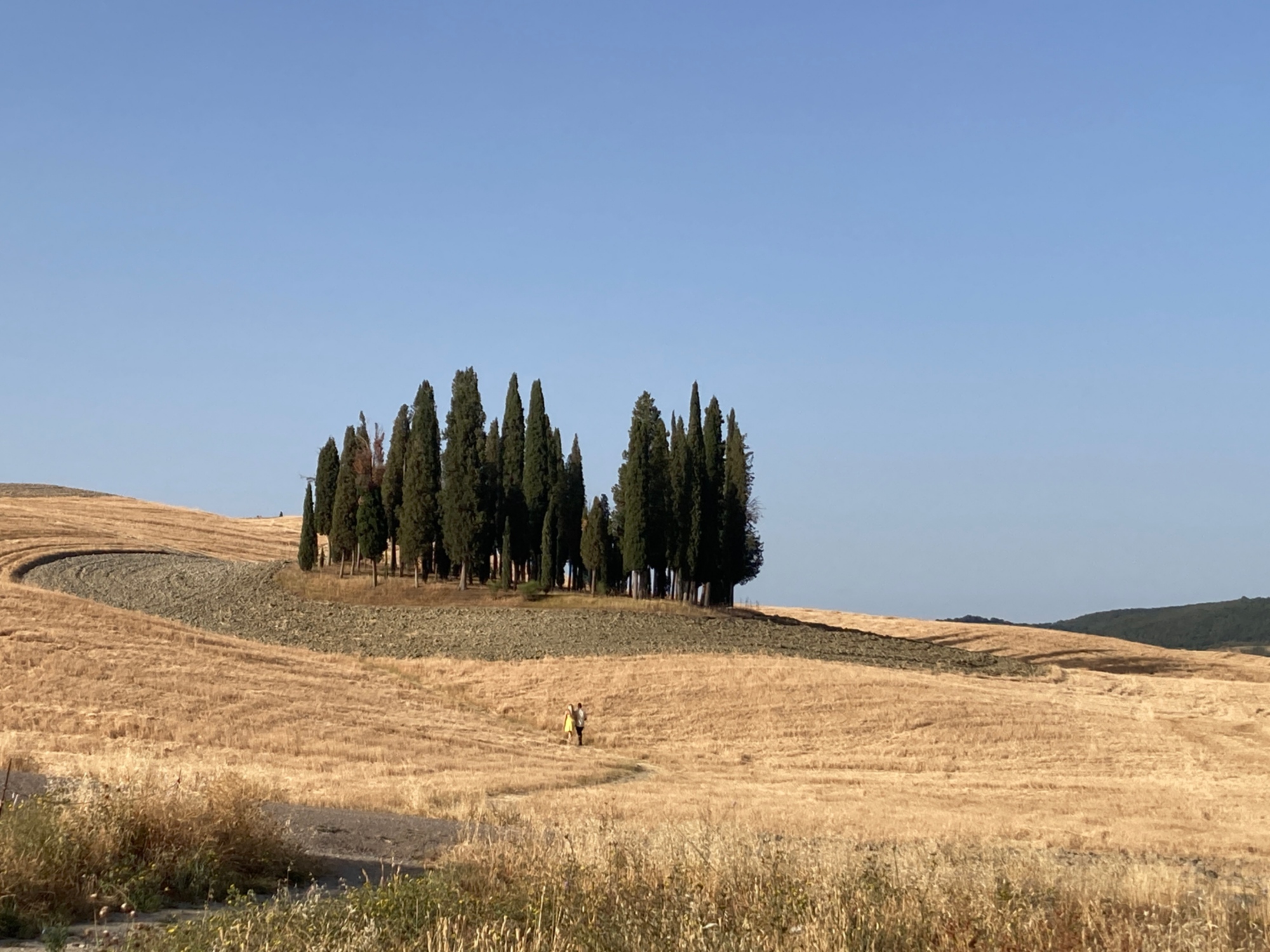 Cipressi della Val d