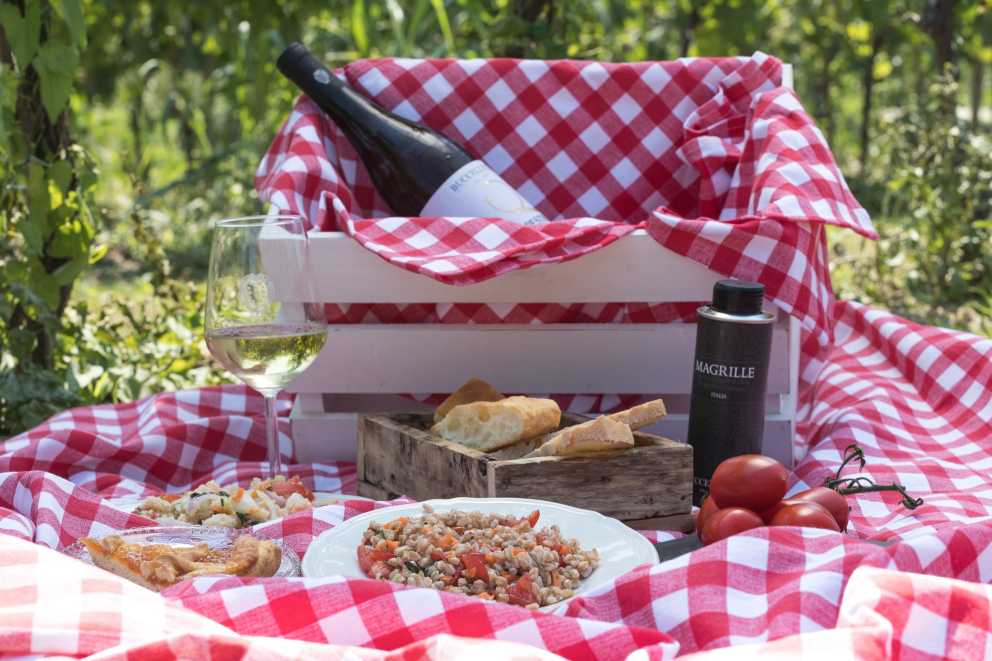 Cantina Buccelletti ti aspetta per visita e degustazione vini