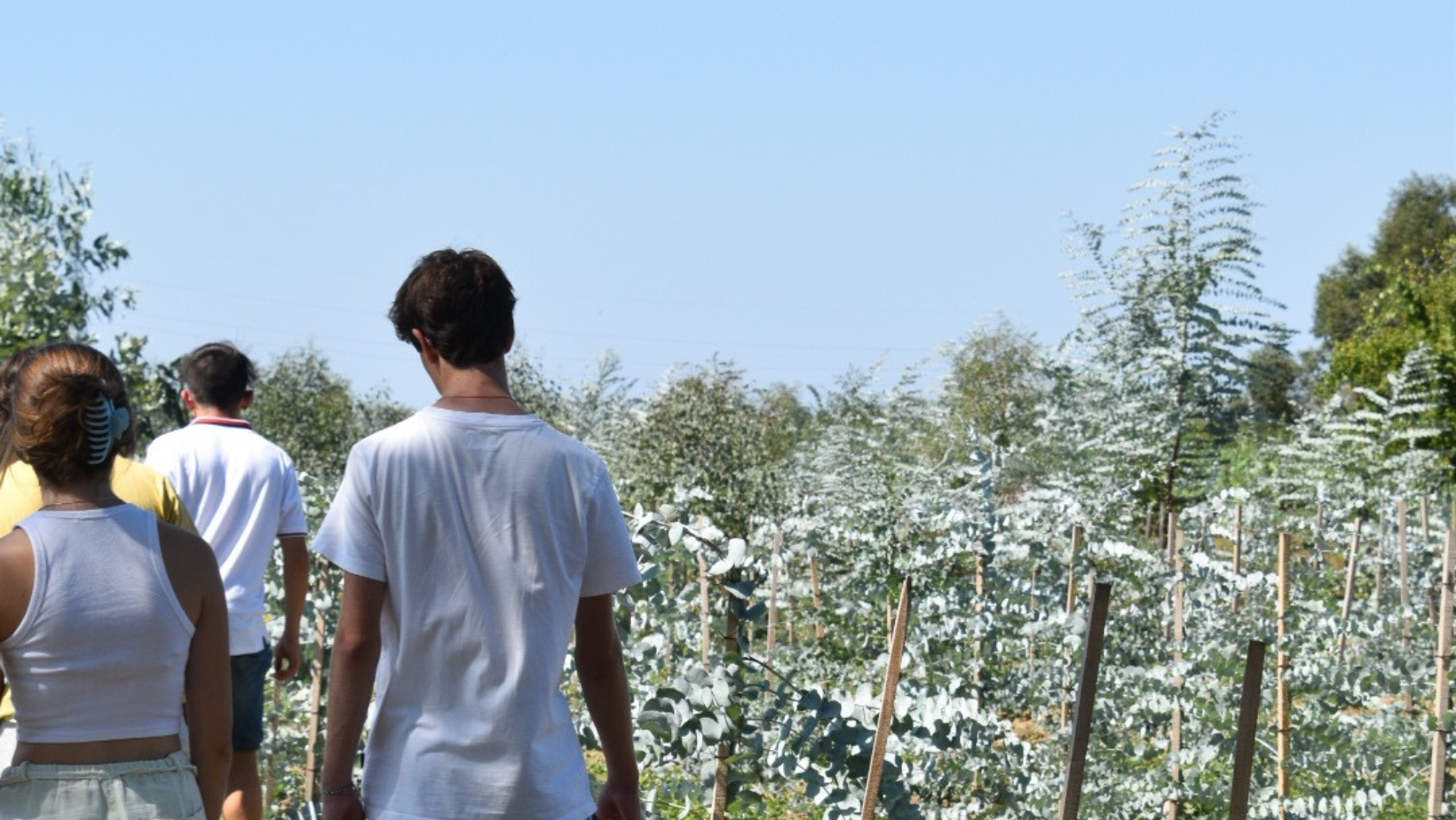 Esperienza di relax e meditazione presso Il giardino di Manipura di Massarosa