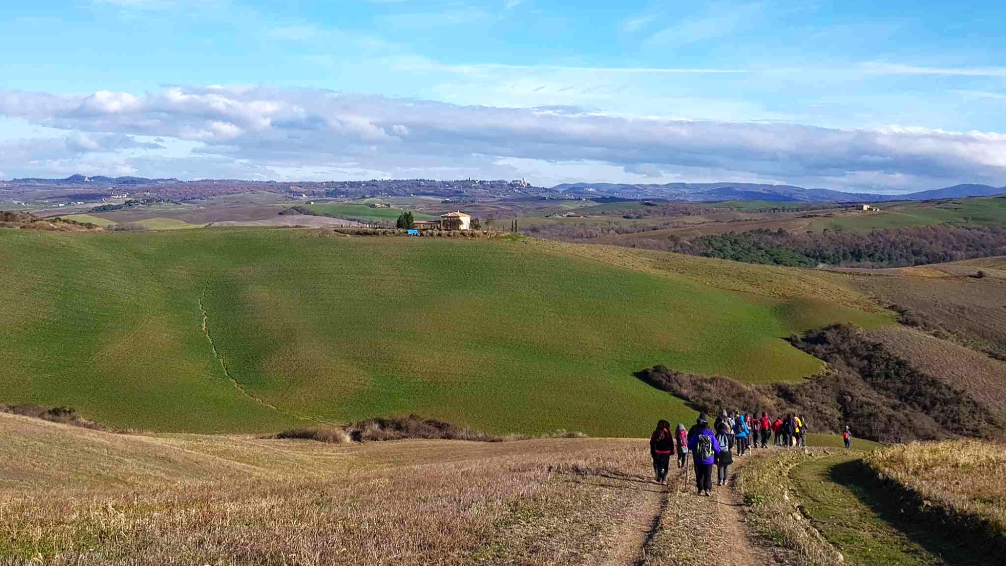 Escursione giornaliera sulle crete e fra i cipressi della Val d'Orcia