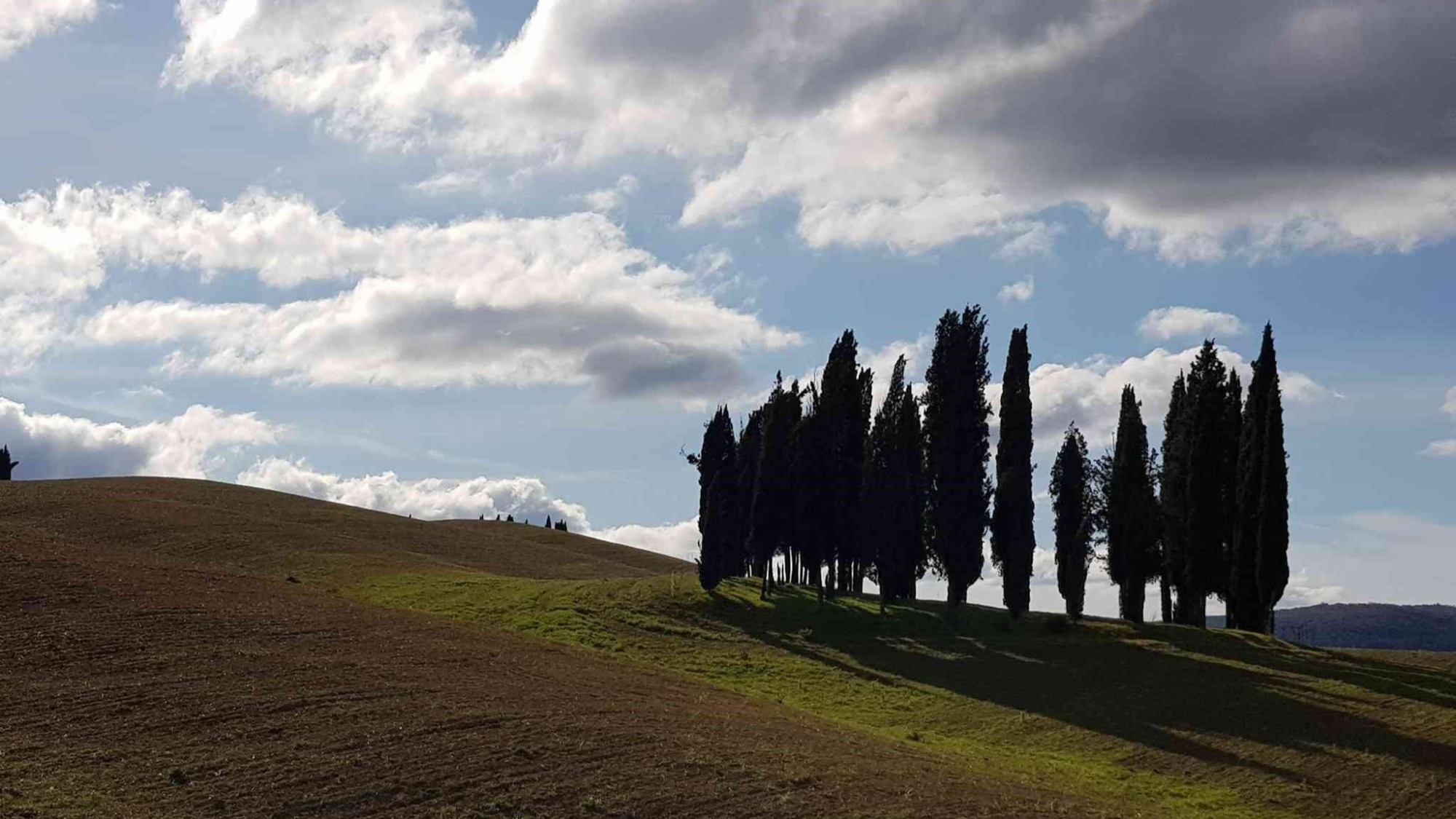 Escursione giornaliera sulle crete e fra i cipressi della Val d'Orcia