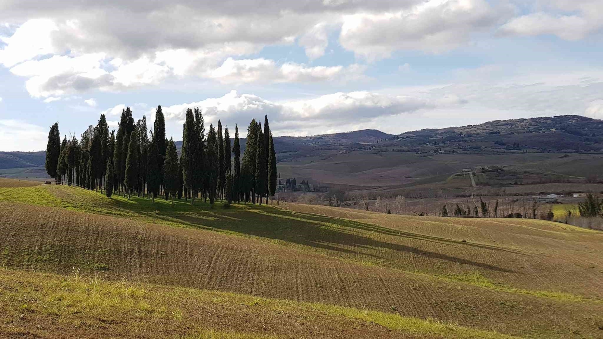 Escursione giornaliera sulle crete e fra i cipressi della Val d'Orcia