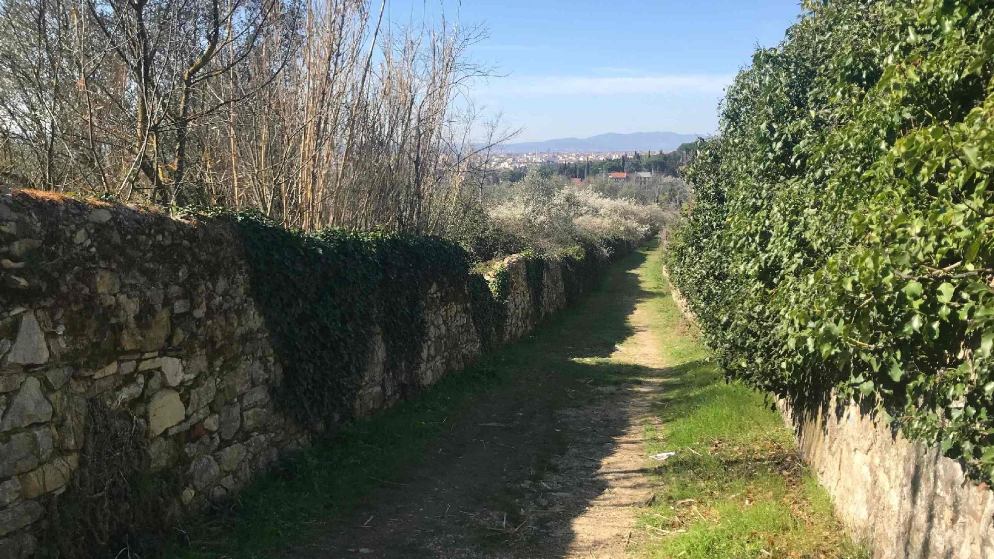 Escursione giornaliera nella zona orientale della città di Firenze