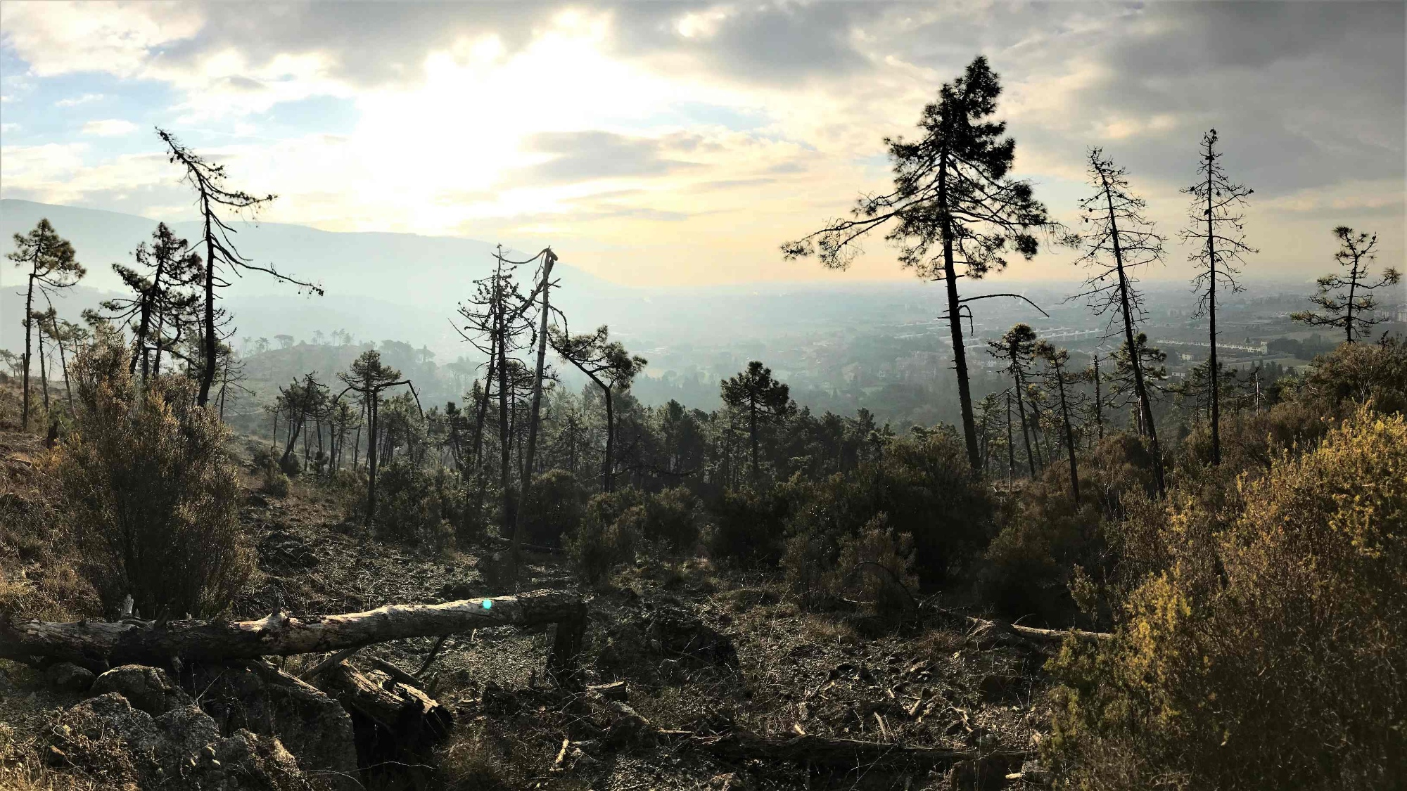 Escursione di 16 km nei luoghi cari a Curzio Malaparte sulle colline pratesi