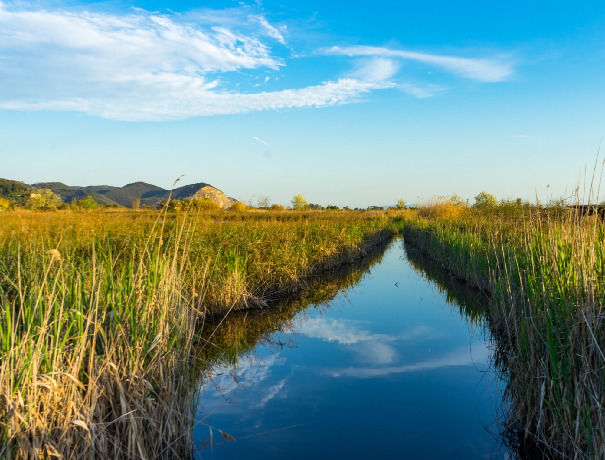 Trekking alla scoperta del Lago di Massaciuccoli con pranzo alla foresteria la Brilla