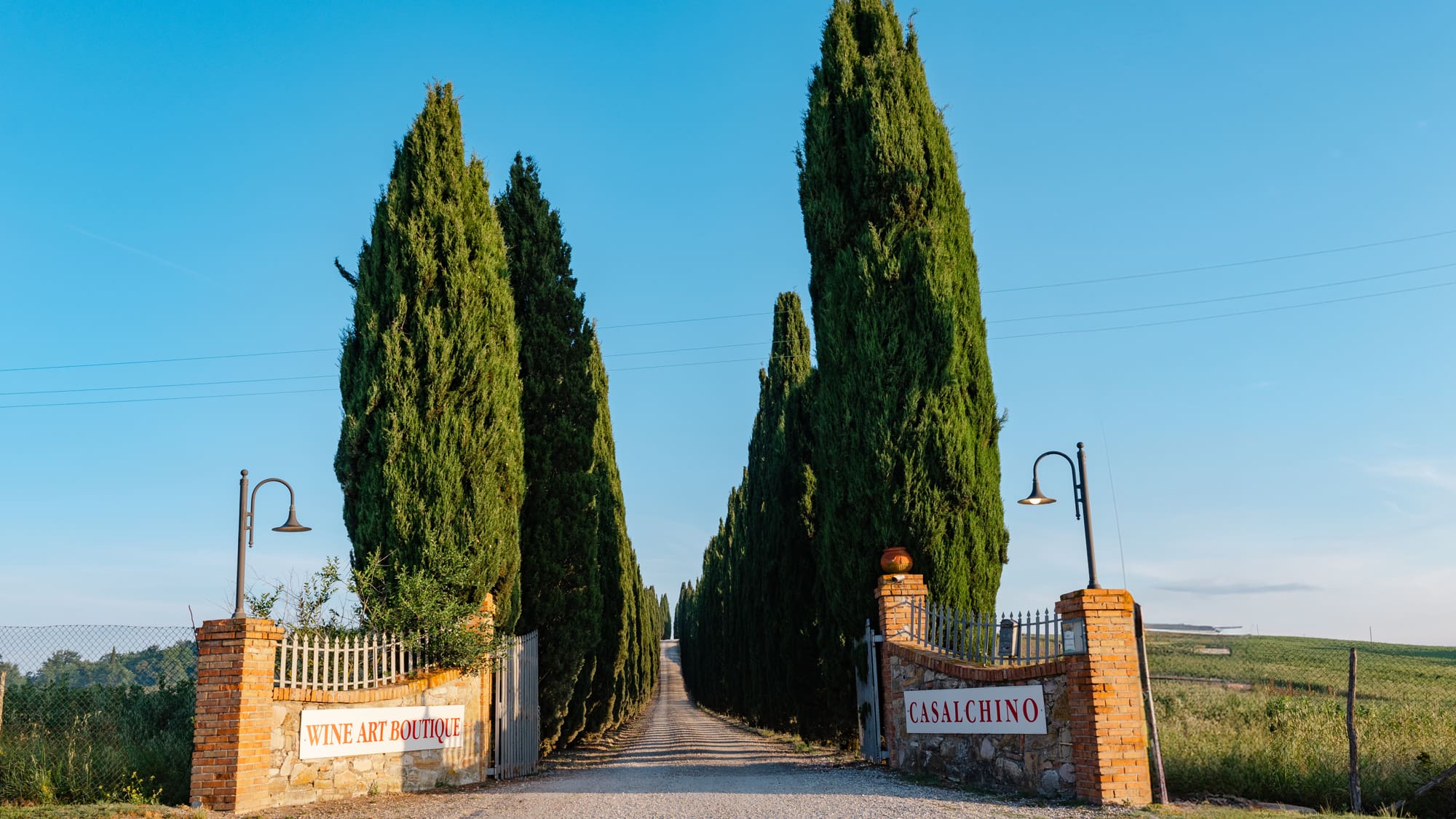 Un percorso sensoriale alla scoperta della Vernaccia di San Gimignano DOCG