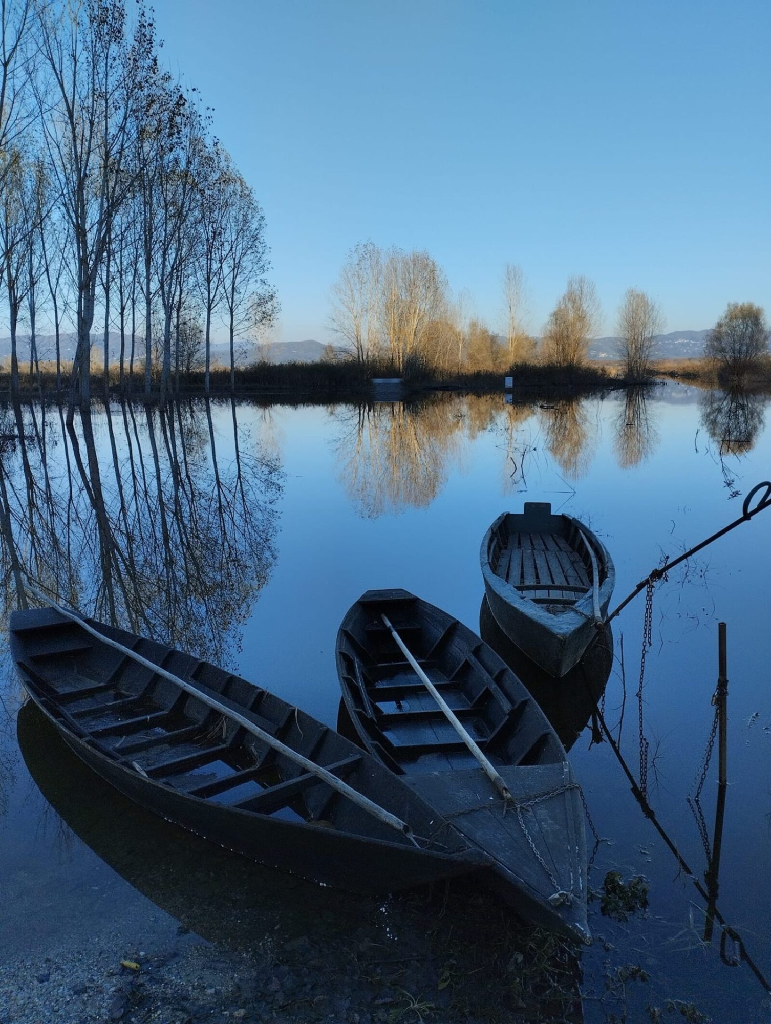 Alla scoperta del Padule di Fucecchio in barchino