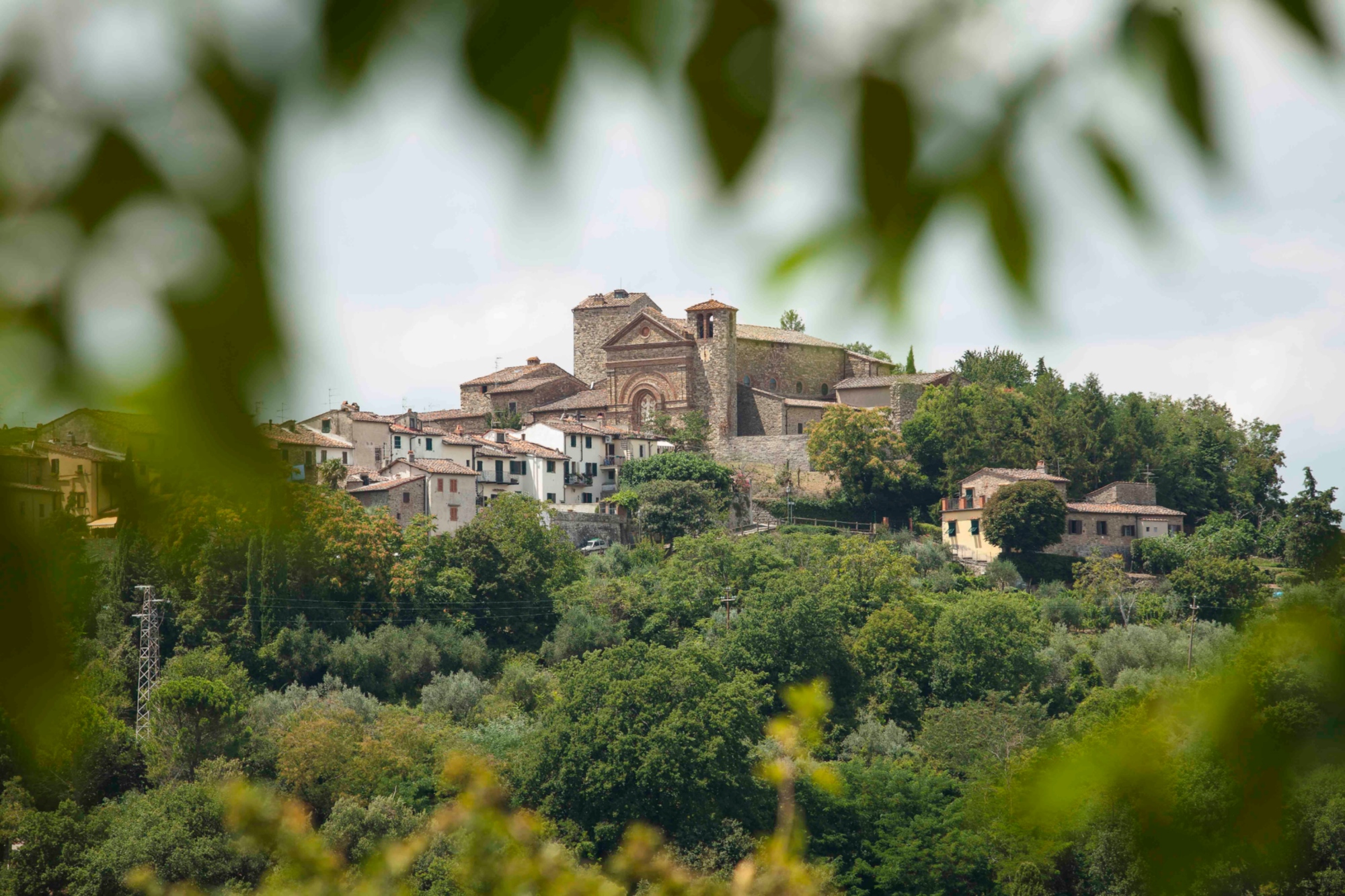 Vista sul borgo di Panzano in Chianti