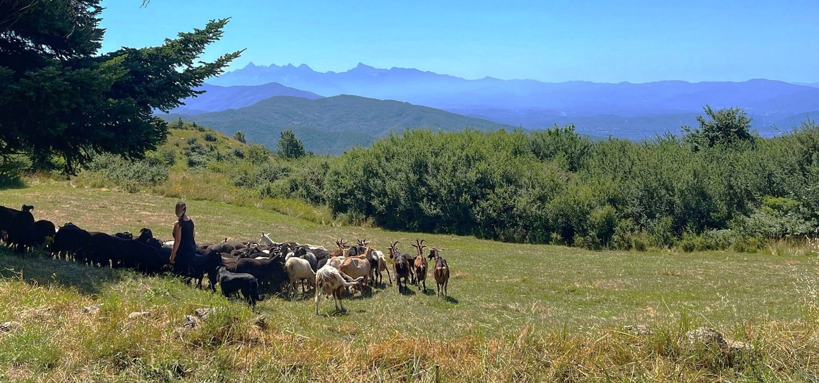 5 family-friendly ideas for a summer in Lunigiana!