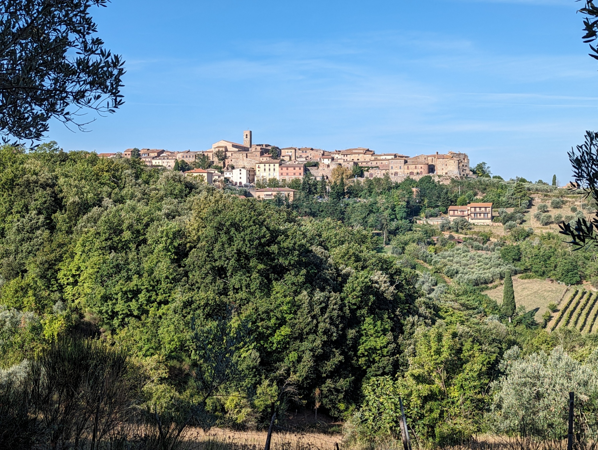 Vista su Casole d'Elsa