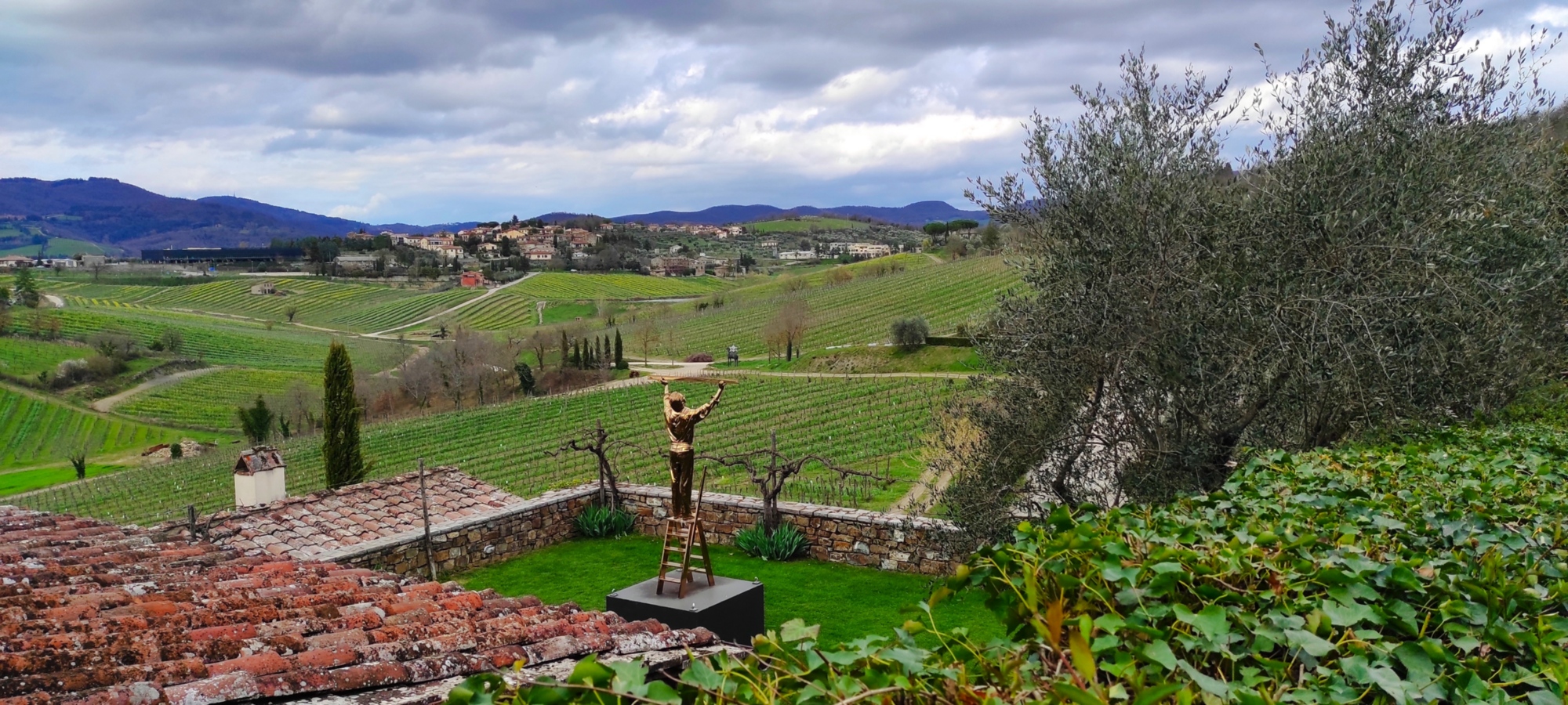 Walking and wine tour experience in Radda in Chianti