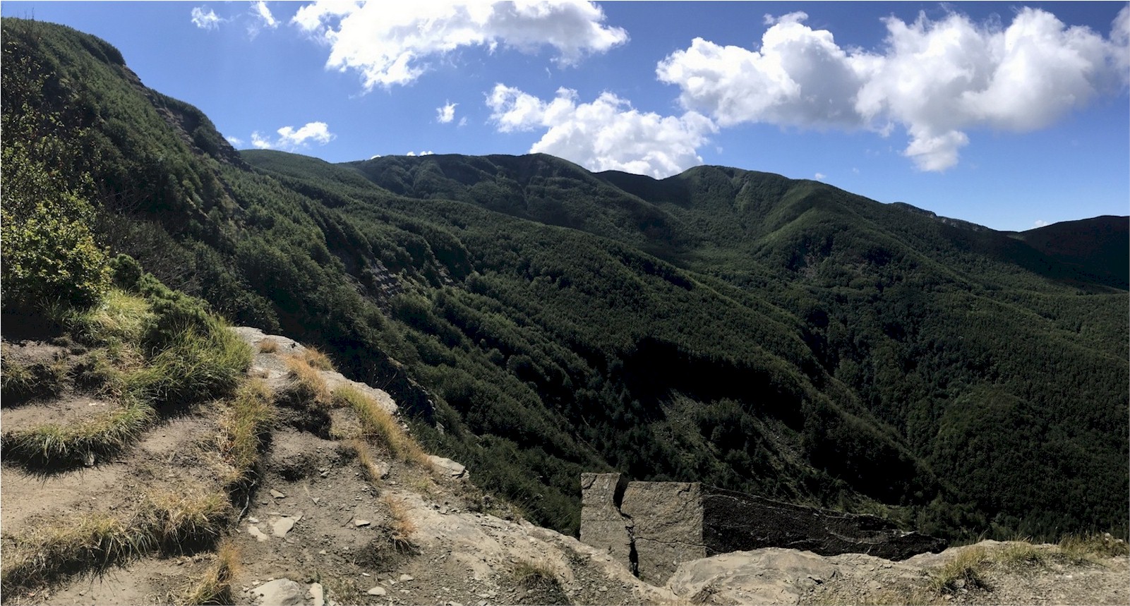 Tour guidato per scoprire scorci e strepitosi panorami del Parco delle Foreste Casentinesi