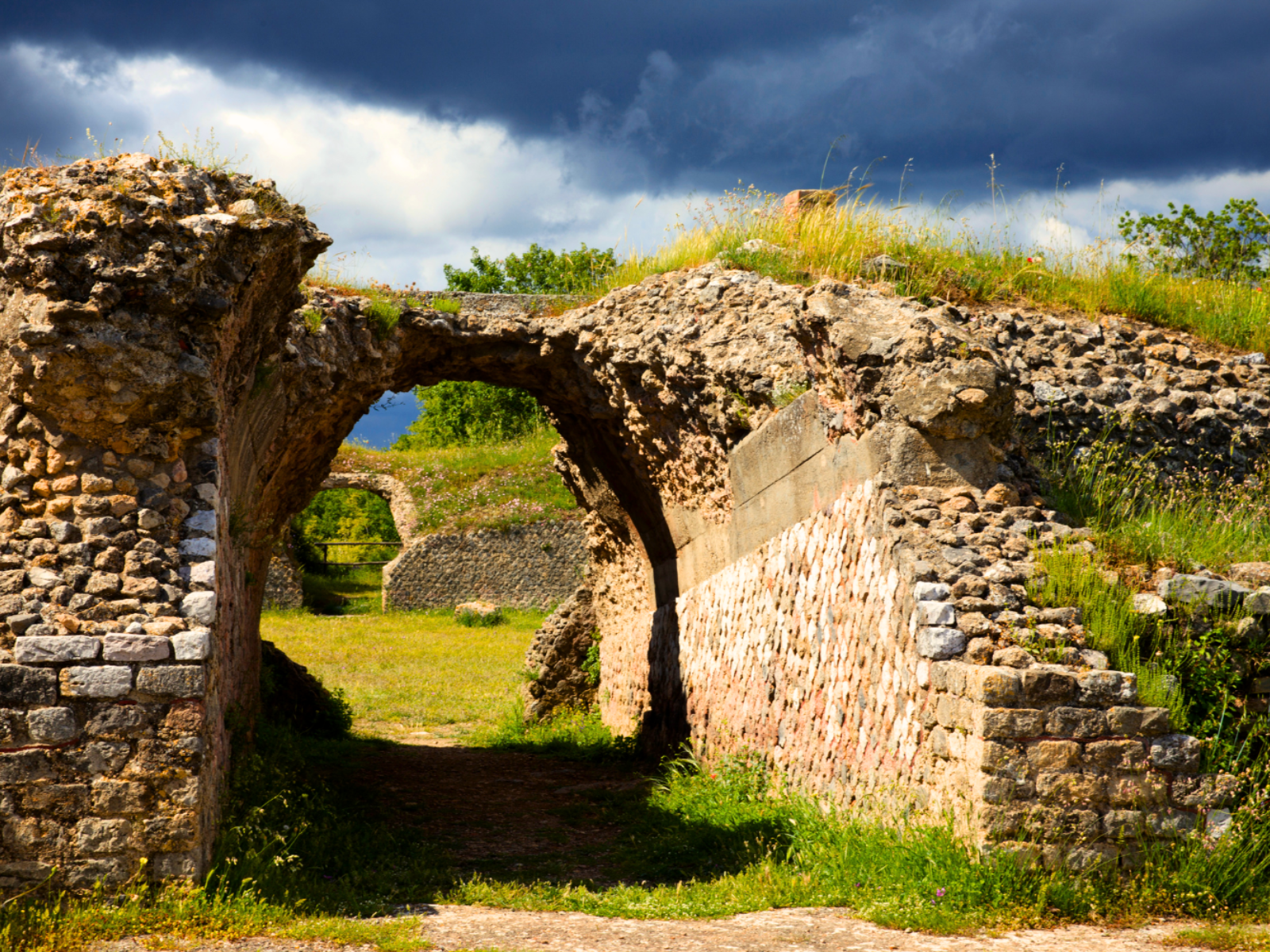 Visita guidata gratuita alla città etrusco-romana di Roselle