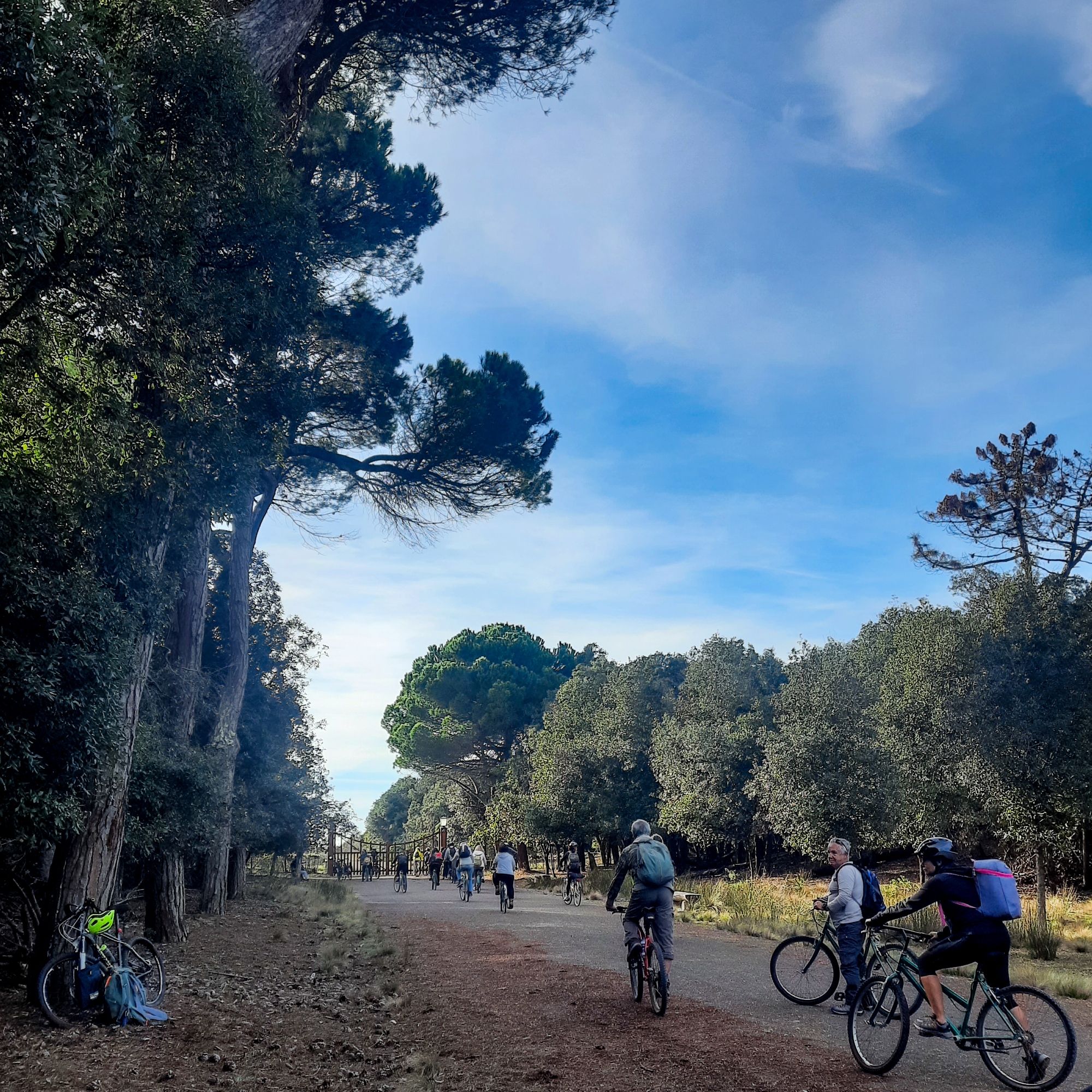 Bike trekking nel Parco Naturale di San Rossore