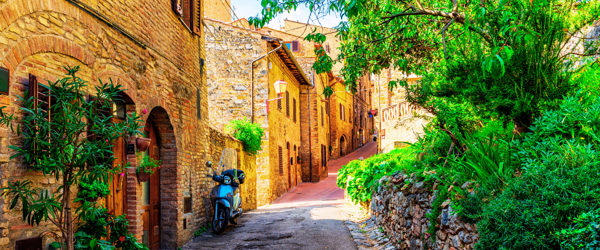 Viaggio nella campagna del Chianti: storia e degustazione di vini!