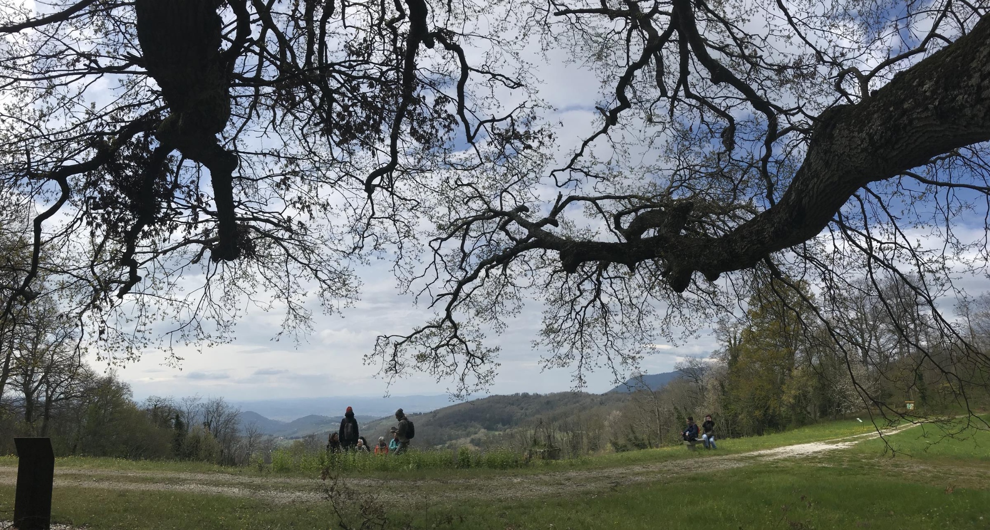 Escursione guidata nel verde all'altro Parco mediceo di Pratolino