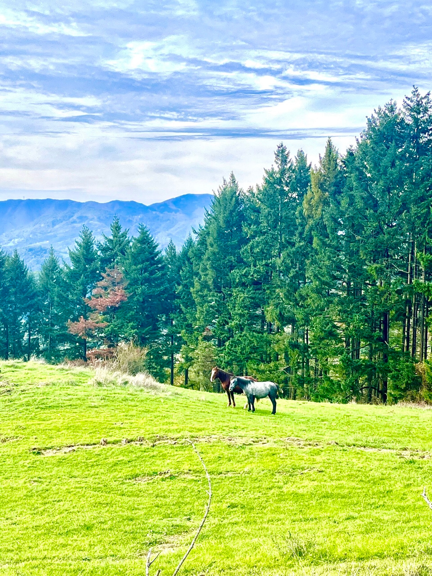 Trekking spirituale al Borgo 