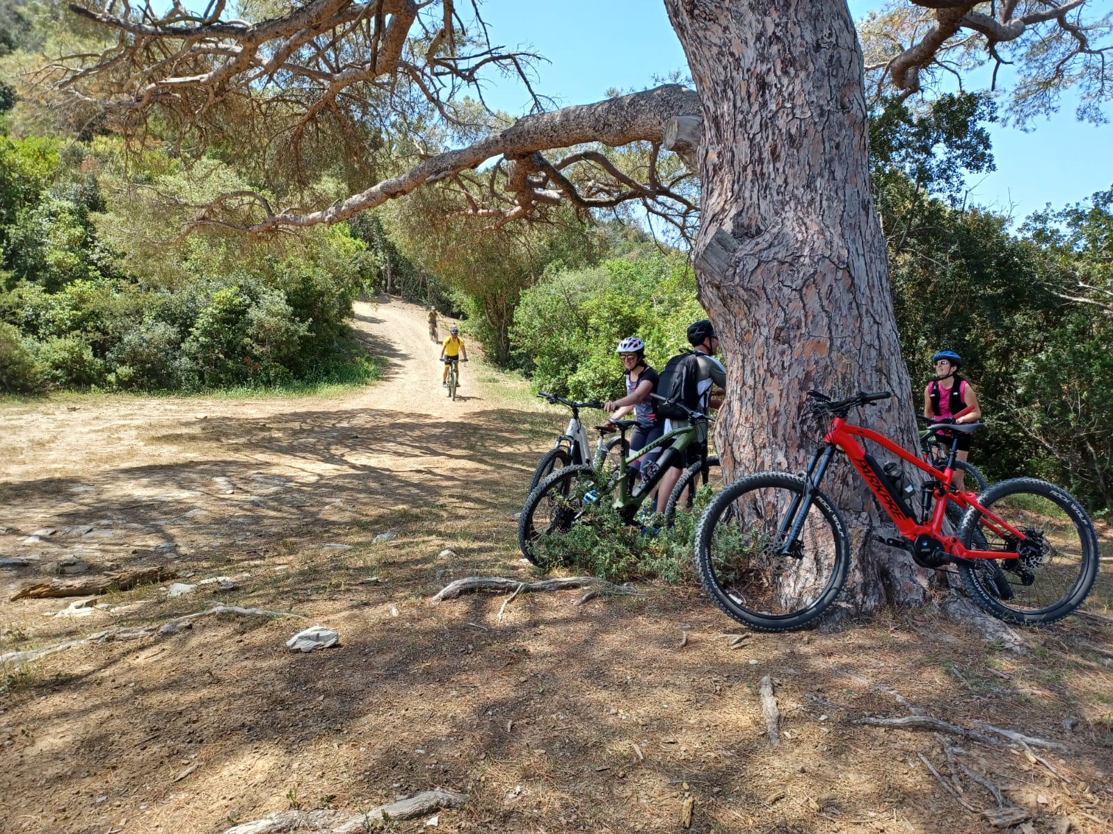 Due giorni tra i borghi della Costa degli Etruschi in bicicletta