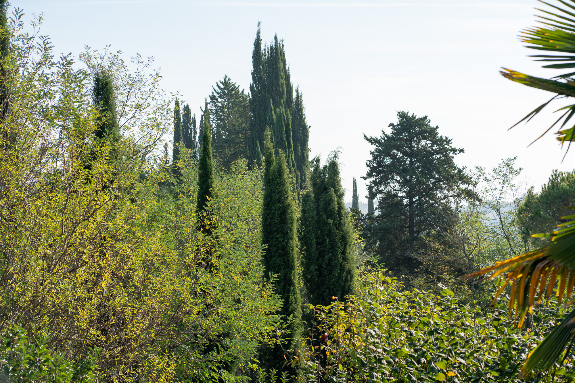 Three nights of good living at Torraccia di Chiusi, in the Tuscan countryside, near San Gimignano