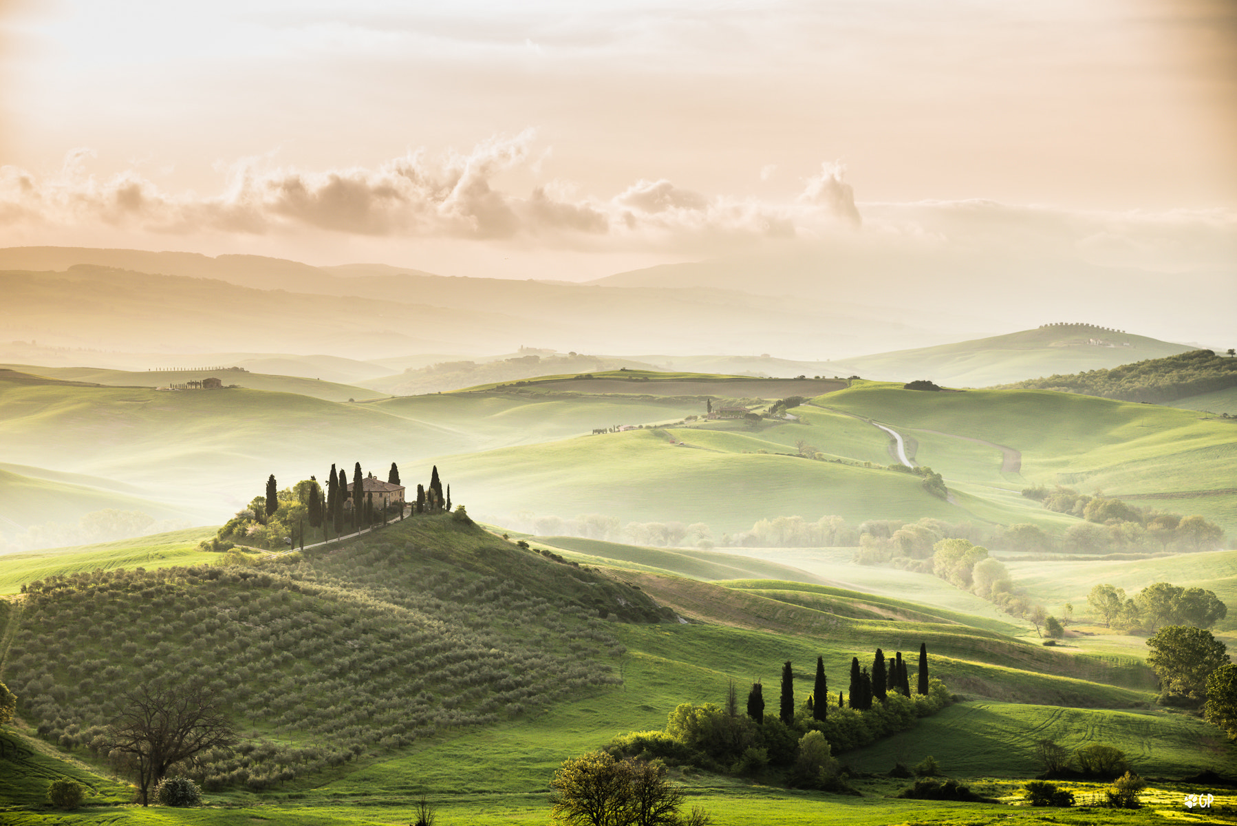 Tour dell'olio e visita al frantoio a Chianciano Terme