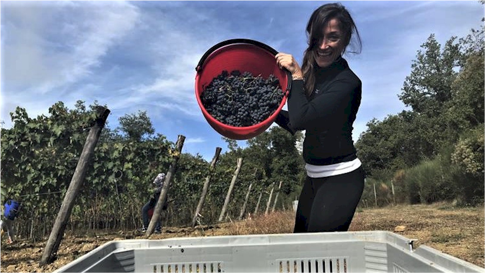 Escursione con visita e degustazione di vino della Fattoria di Castelvecchi