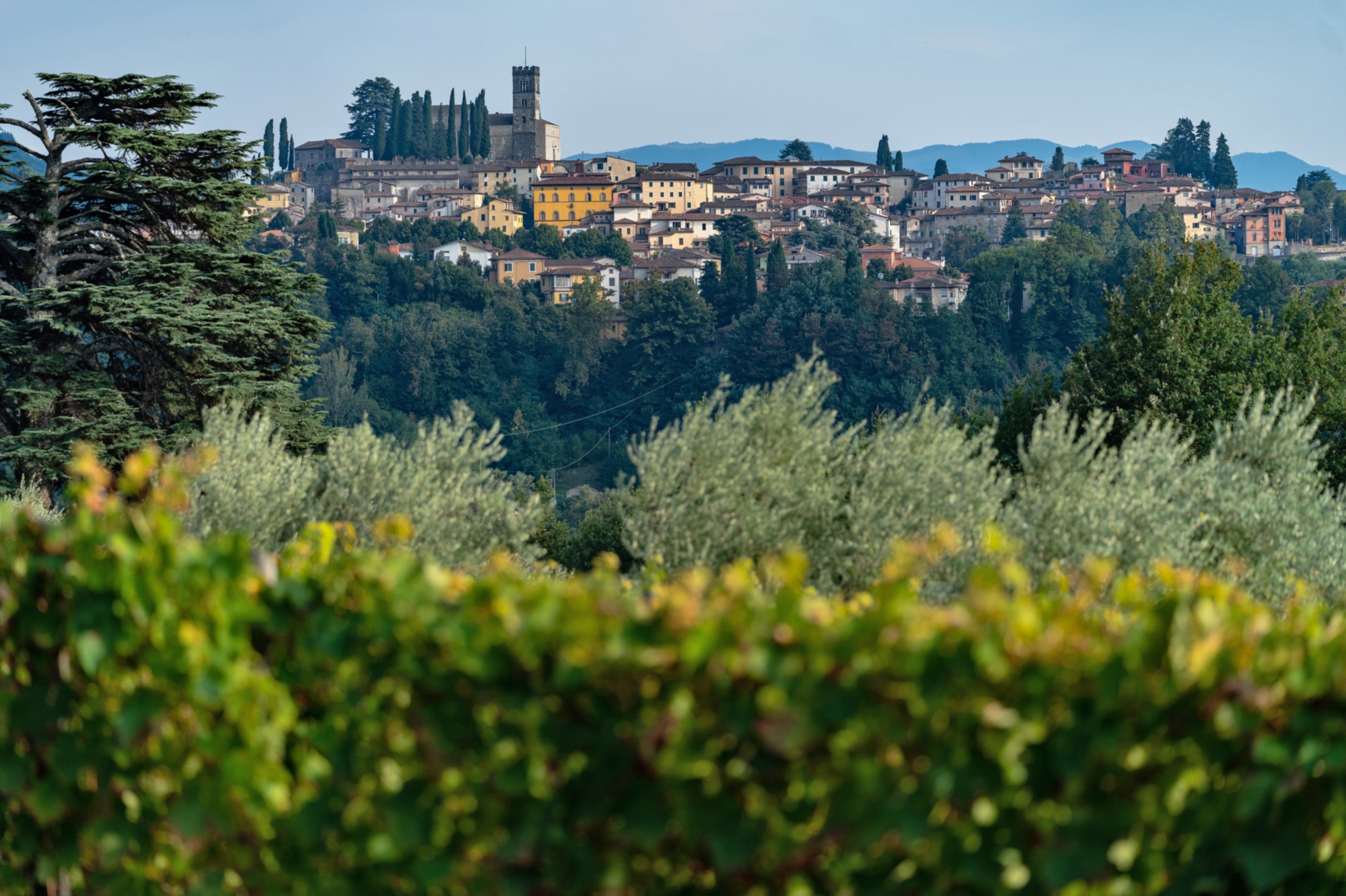 Veduta di Barga