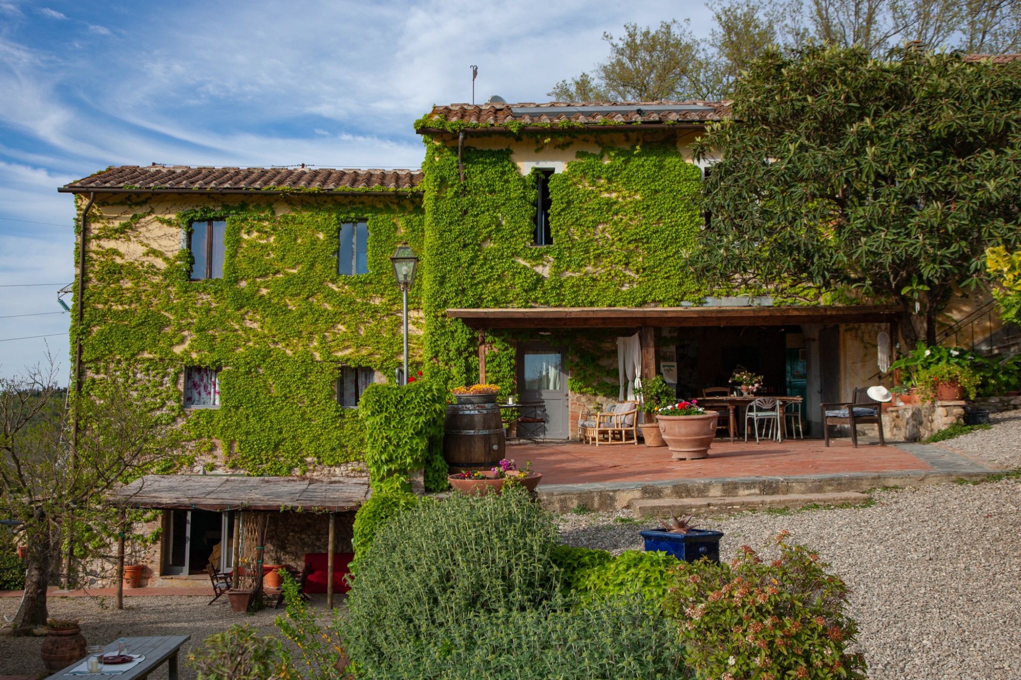 Vista dell'Agriturismo Il Bacio da lontano con la facciata ricoperta di vegetazione