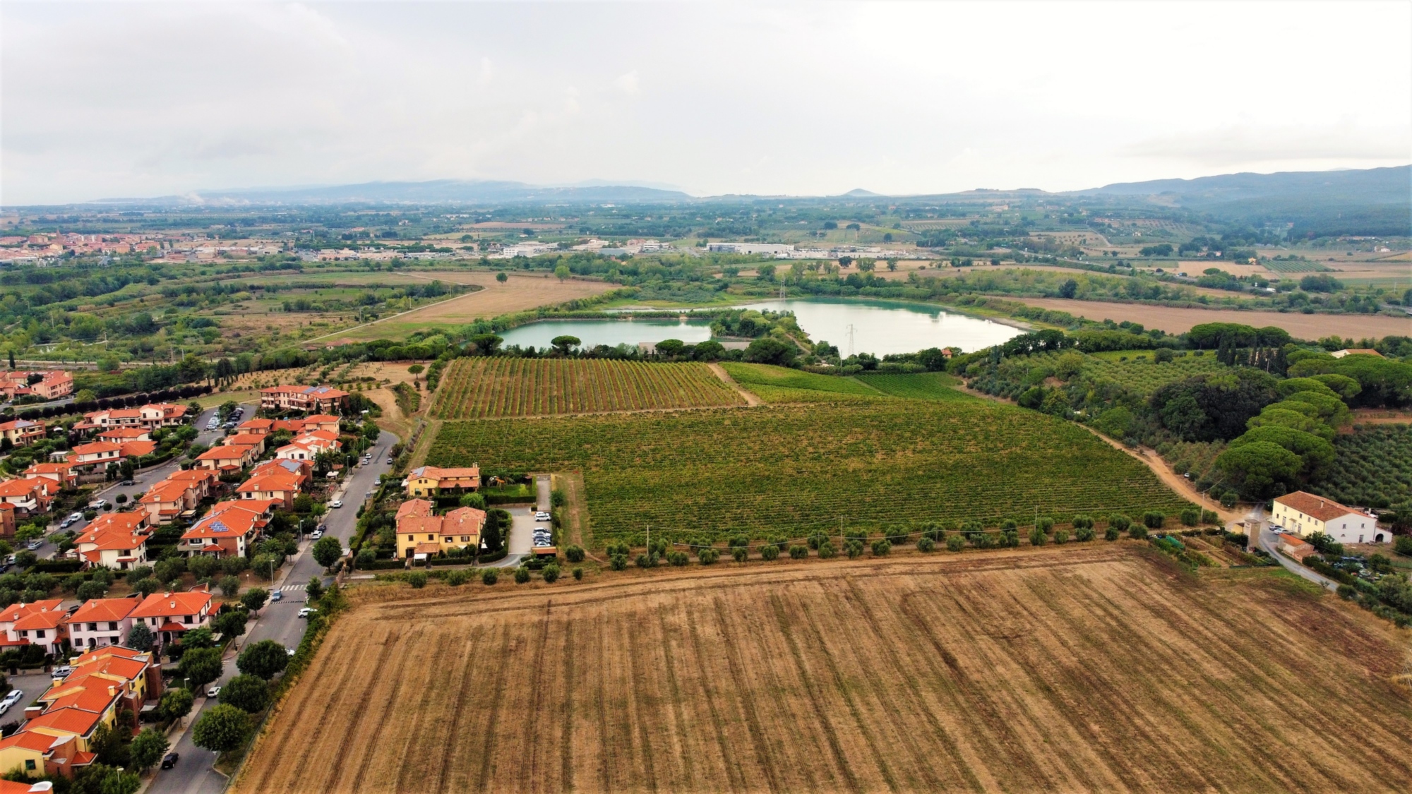 Passeggiata a cavallo con pic-nic nella Riserva Naturale Macchia della Magona