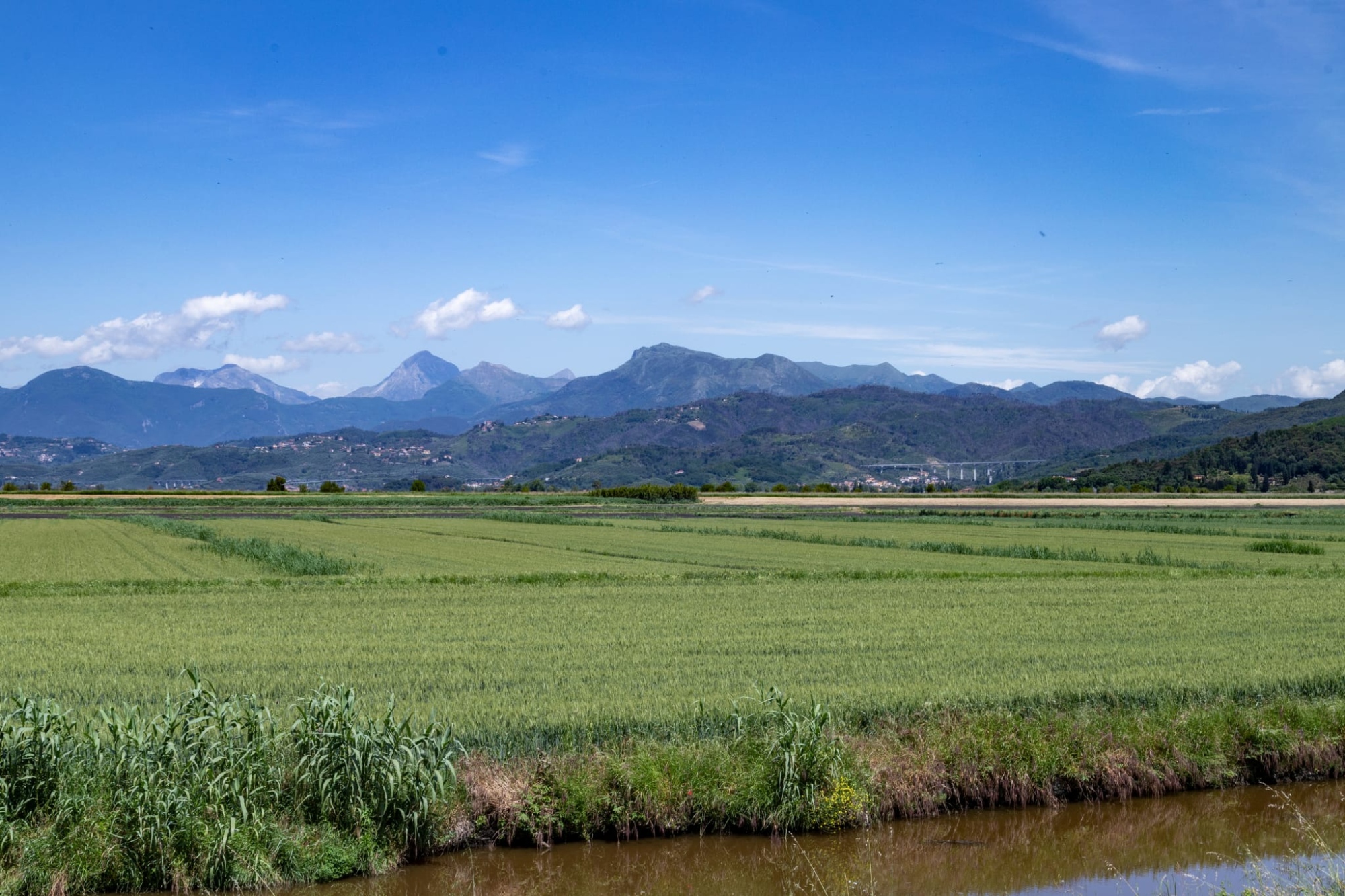 Trekking alla scoperta del Lago di Massaciuccoli con pranzo alla foresteria la Brilla