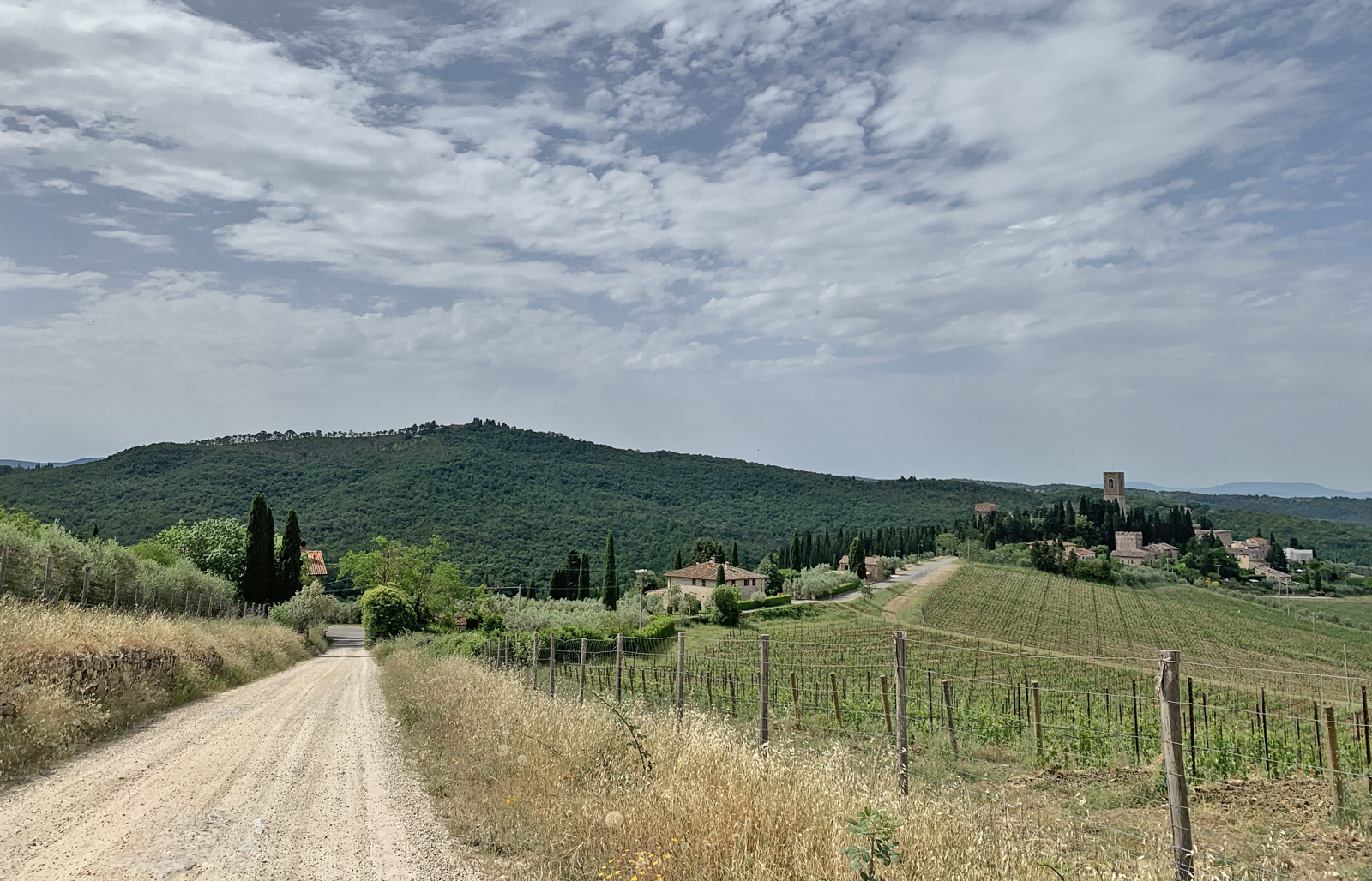 Das Panorama um das Passeiertal (Badia a Passignano)