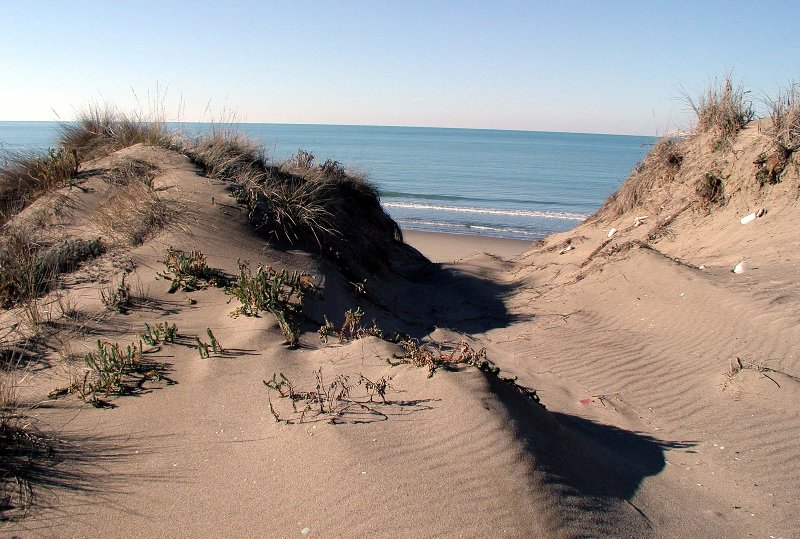 El Parque de Migliarino, San Rossore y Massaciuccoli