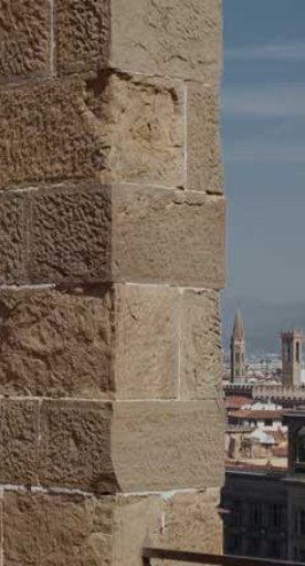 Blick vom Turm des San Niccolò