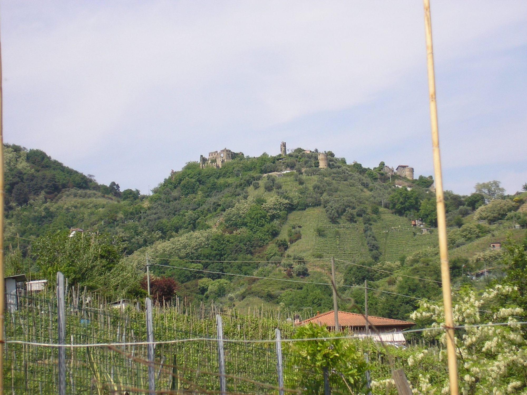 Der Ort Moneta mit der Burgruine in der Nähe von Carrara