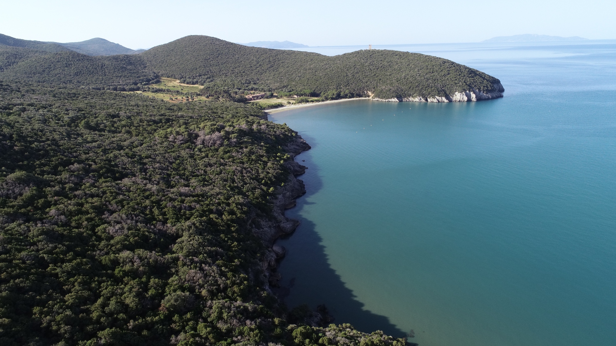 La spiaggia del Parco Naturale della Maremma