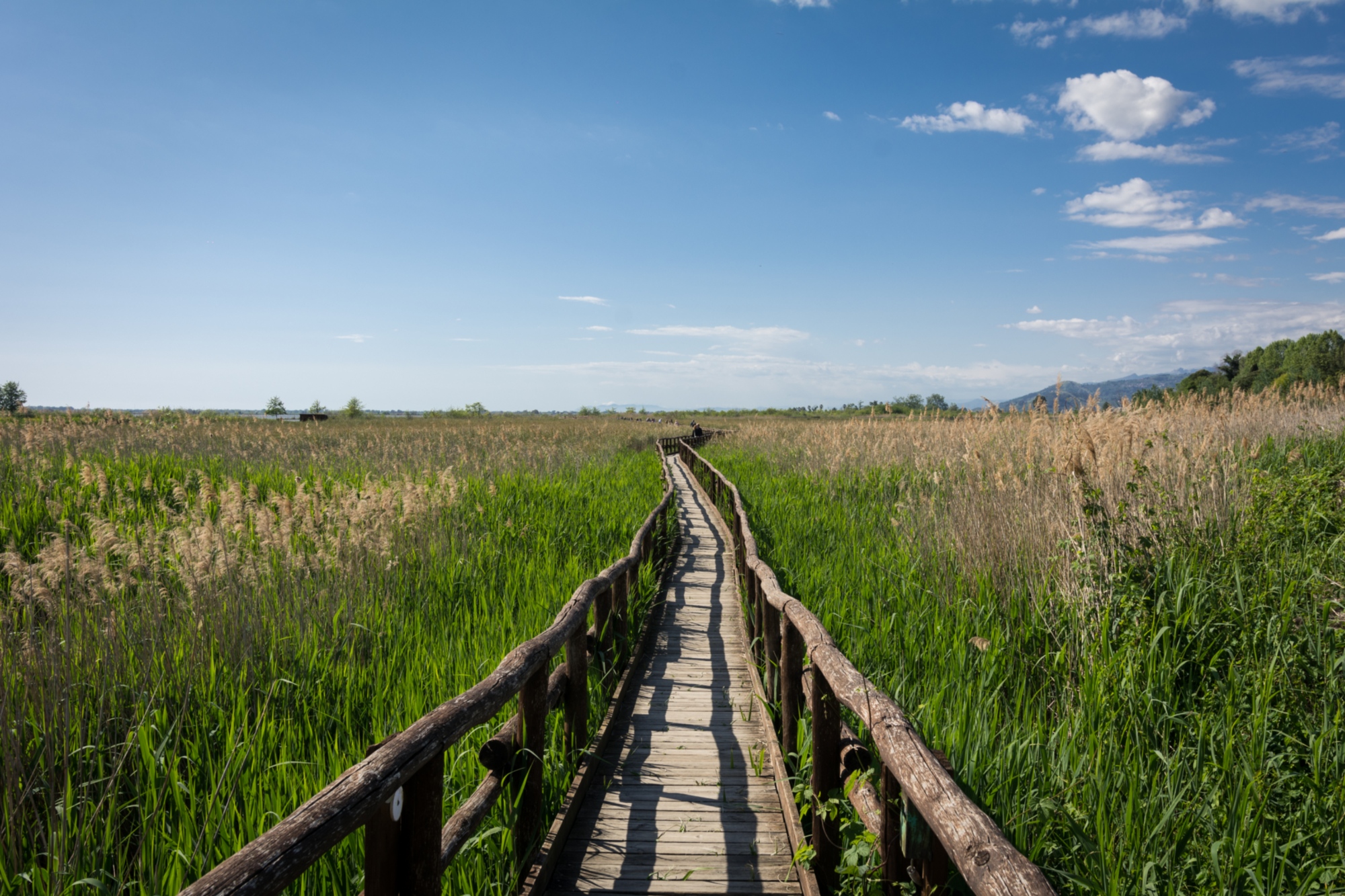 Oasis Lipu en Massaciuccoli