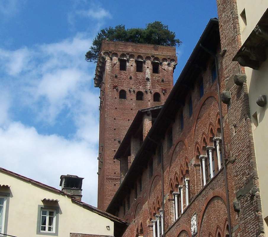 La Torre Guinigi vista desde abajo