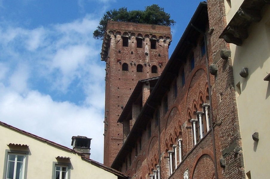 Die Torre Guinigi von unten gesehen